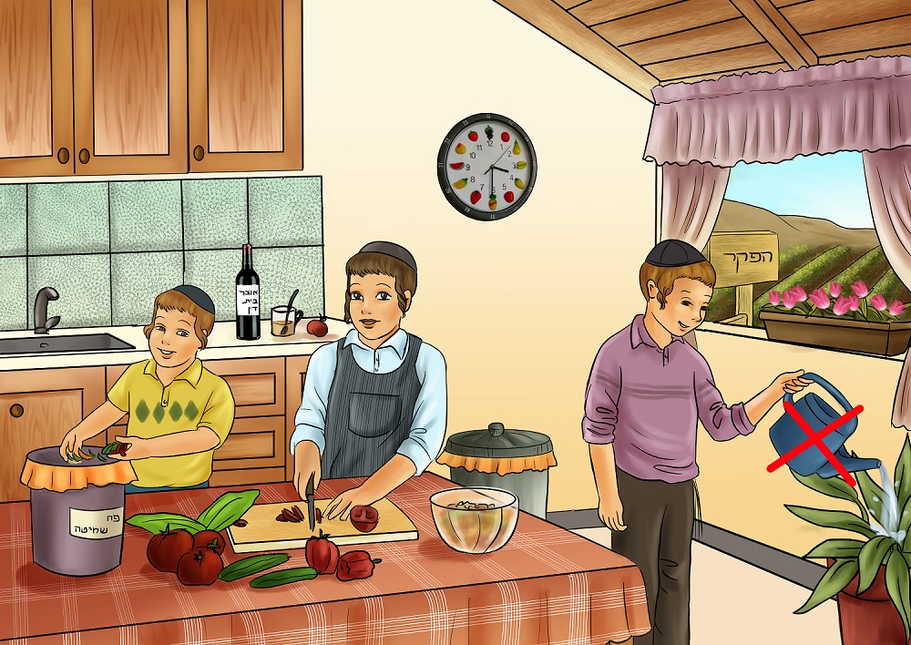 ציור שמיטה מוקטן.jpg