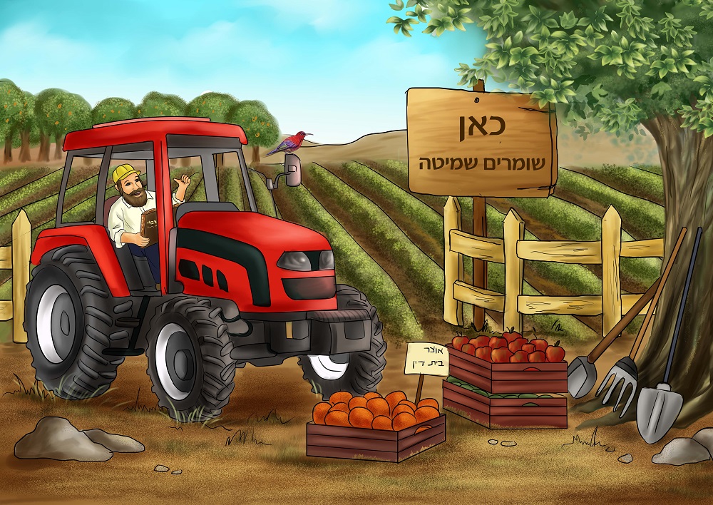 ציור שמיטה 1.jpg