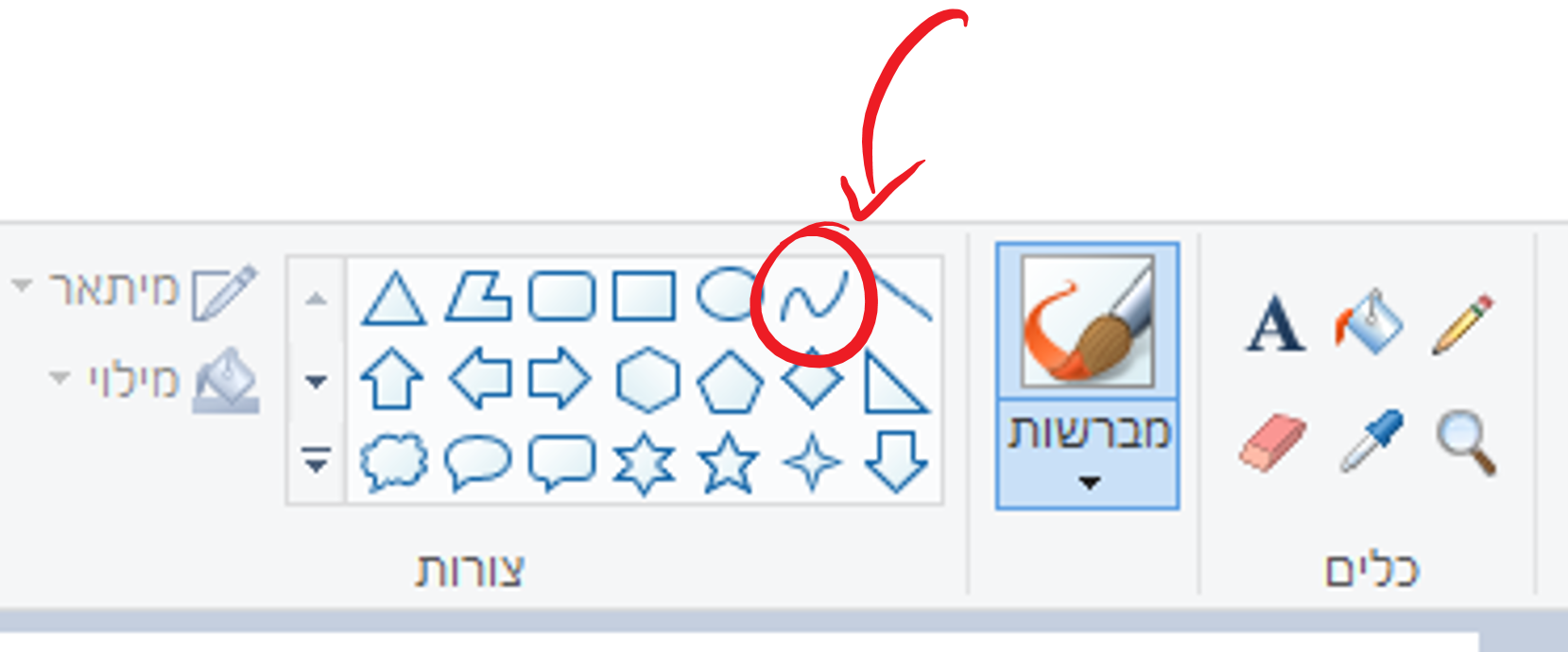 צייא6.png