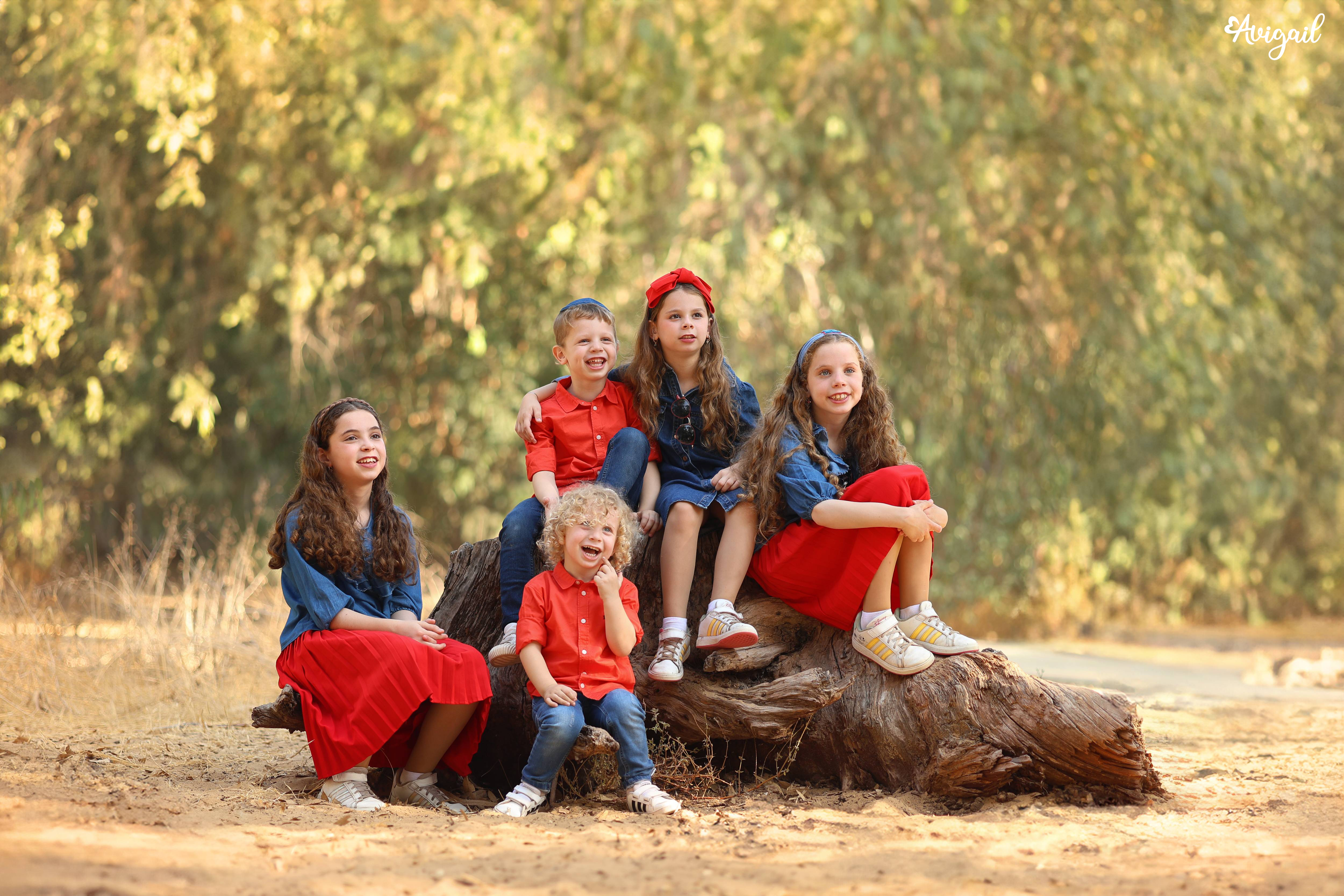 צילום אביגיל 0527160175 (9).jpg