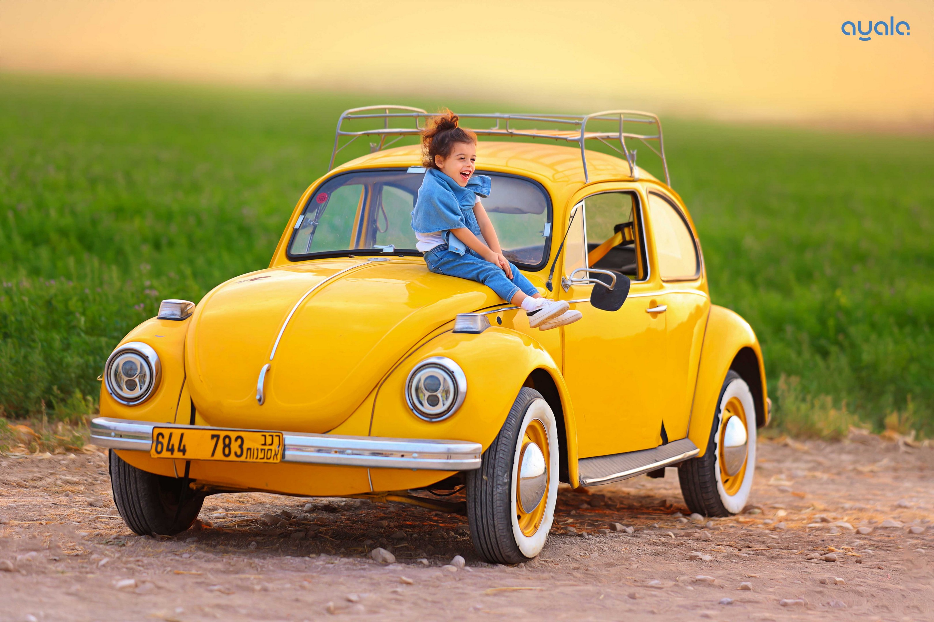 צילום אילה אשרף 1.jpg