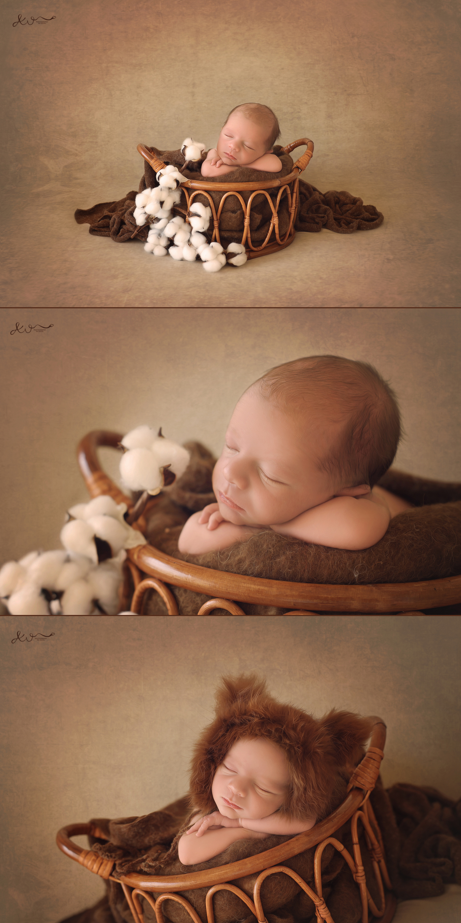 צילום אילה וויג 0548524765 (1).JPG