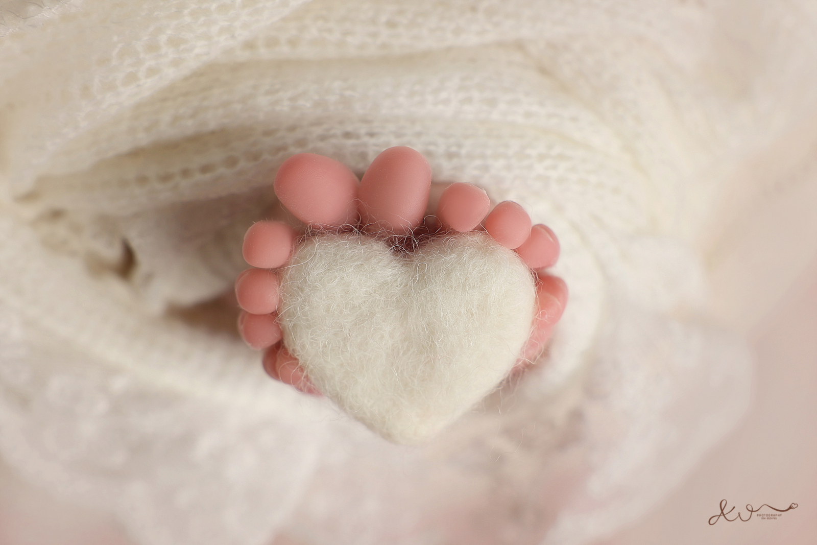 צילום אילה וויג 0548524765 (35).JPG