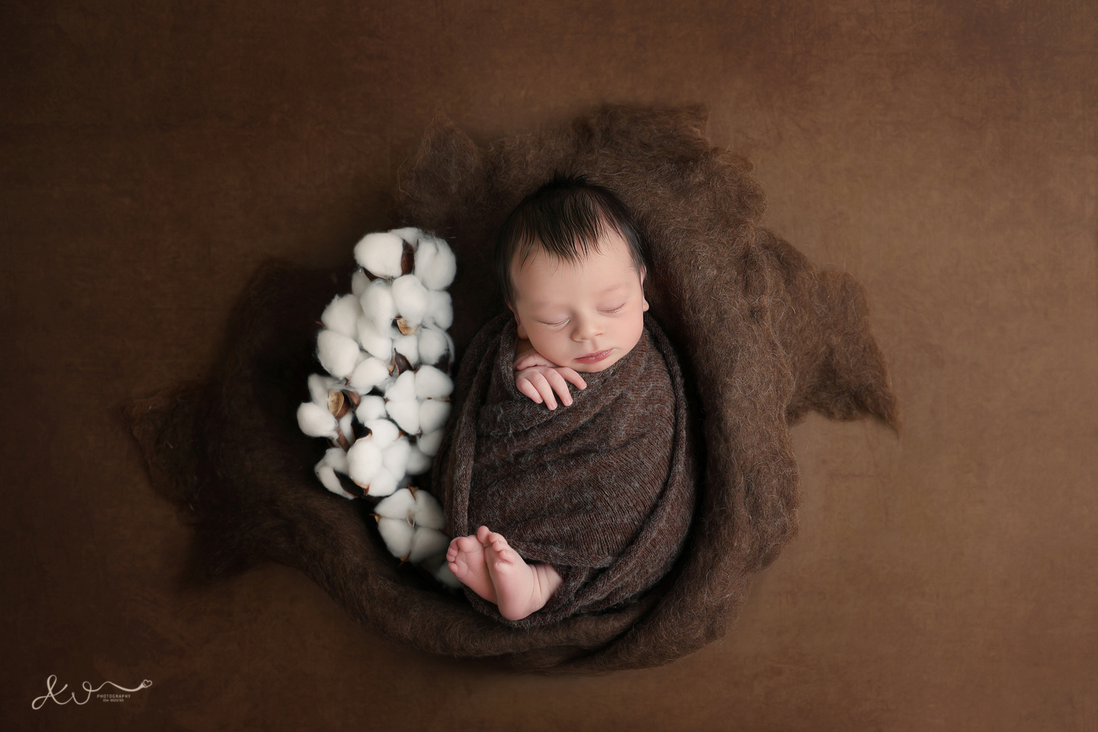 צילום אילה וויג 0548524765 (38).JPG