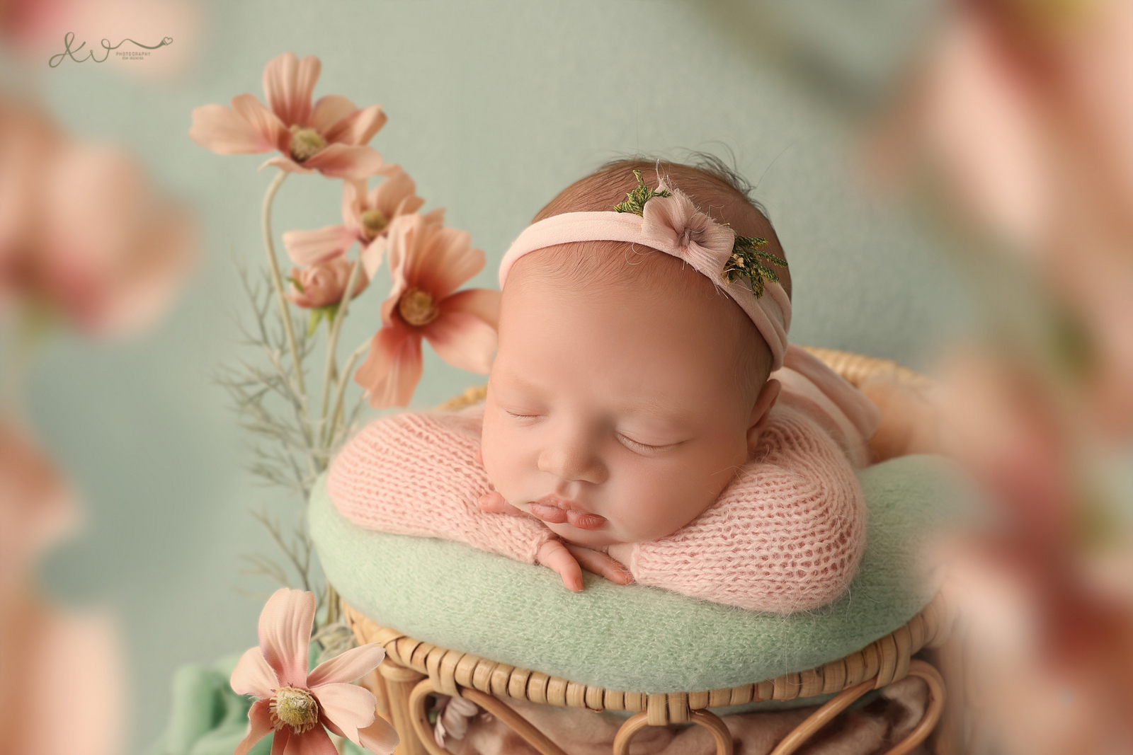 צילום אילה וויג 0548524765  (38).JPG