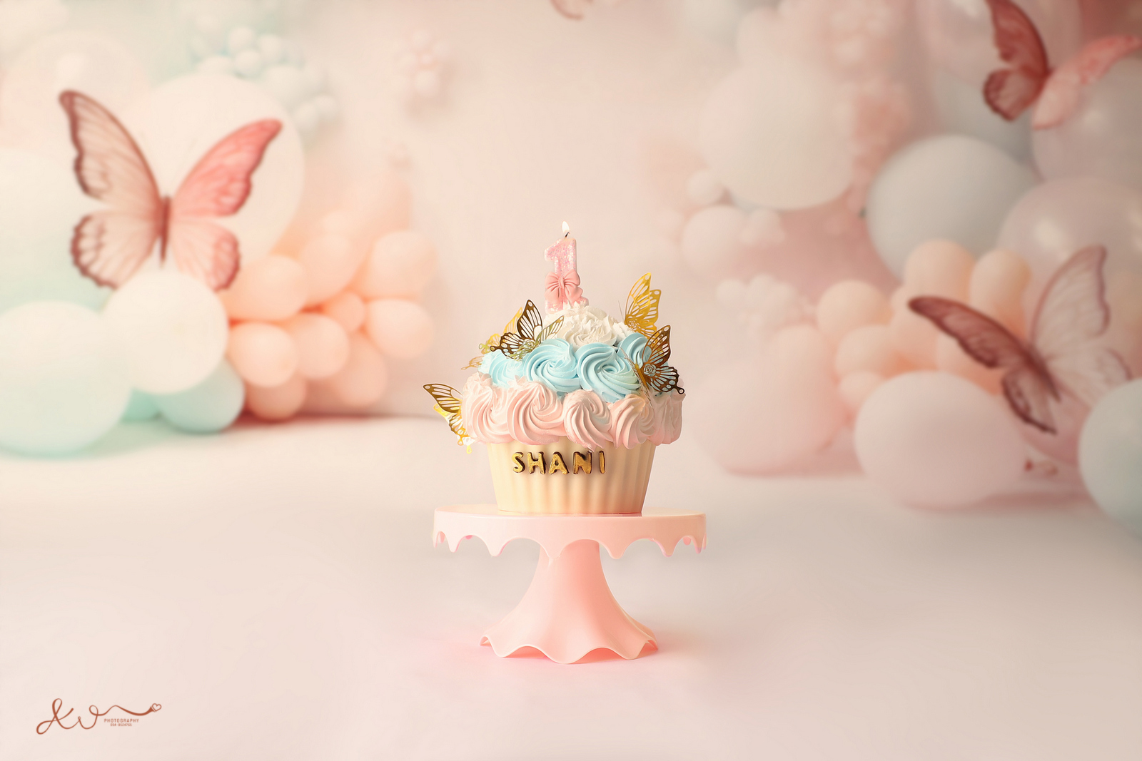 צילום אילה וויג (1).jpg