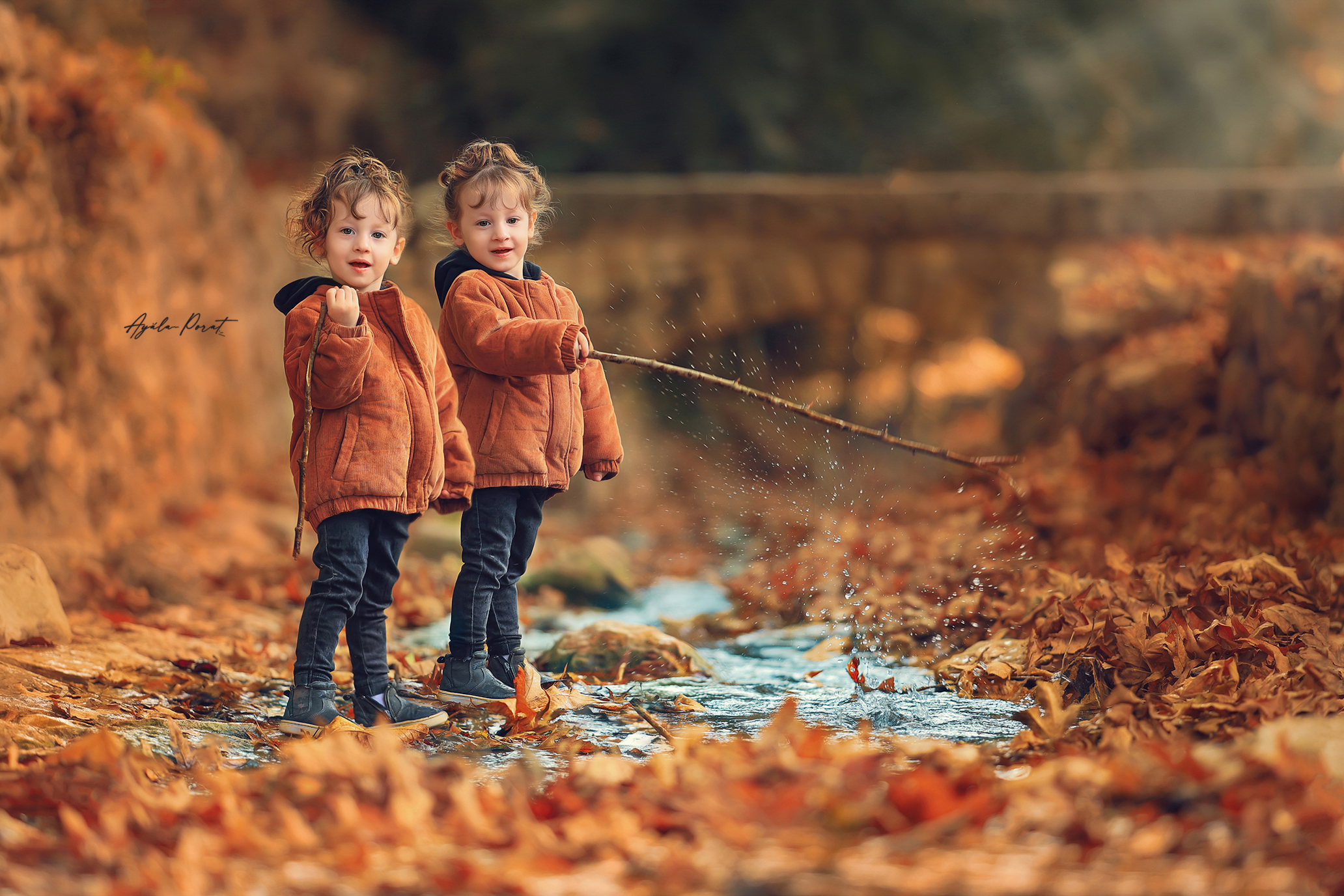 צילום אילה פורת (8).jpg