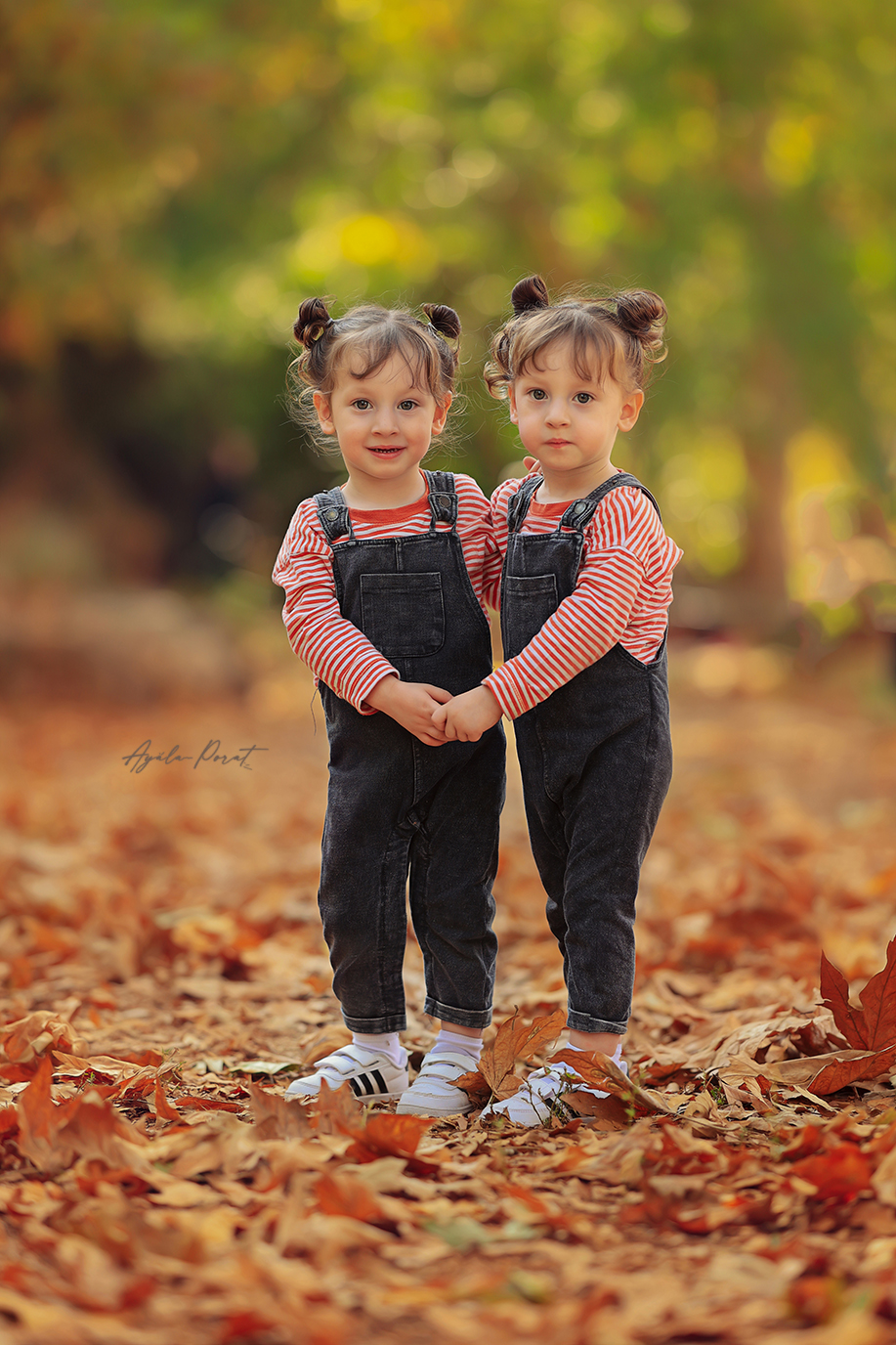 צילום אילה  פורת.jpg