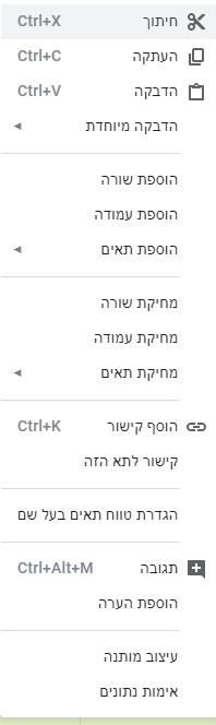 צילום אקסל.png