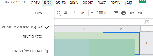 צילום אקסל.png