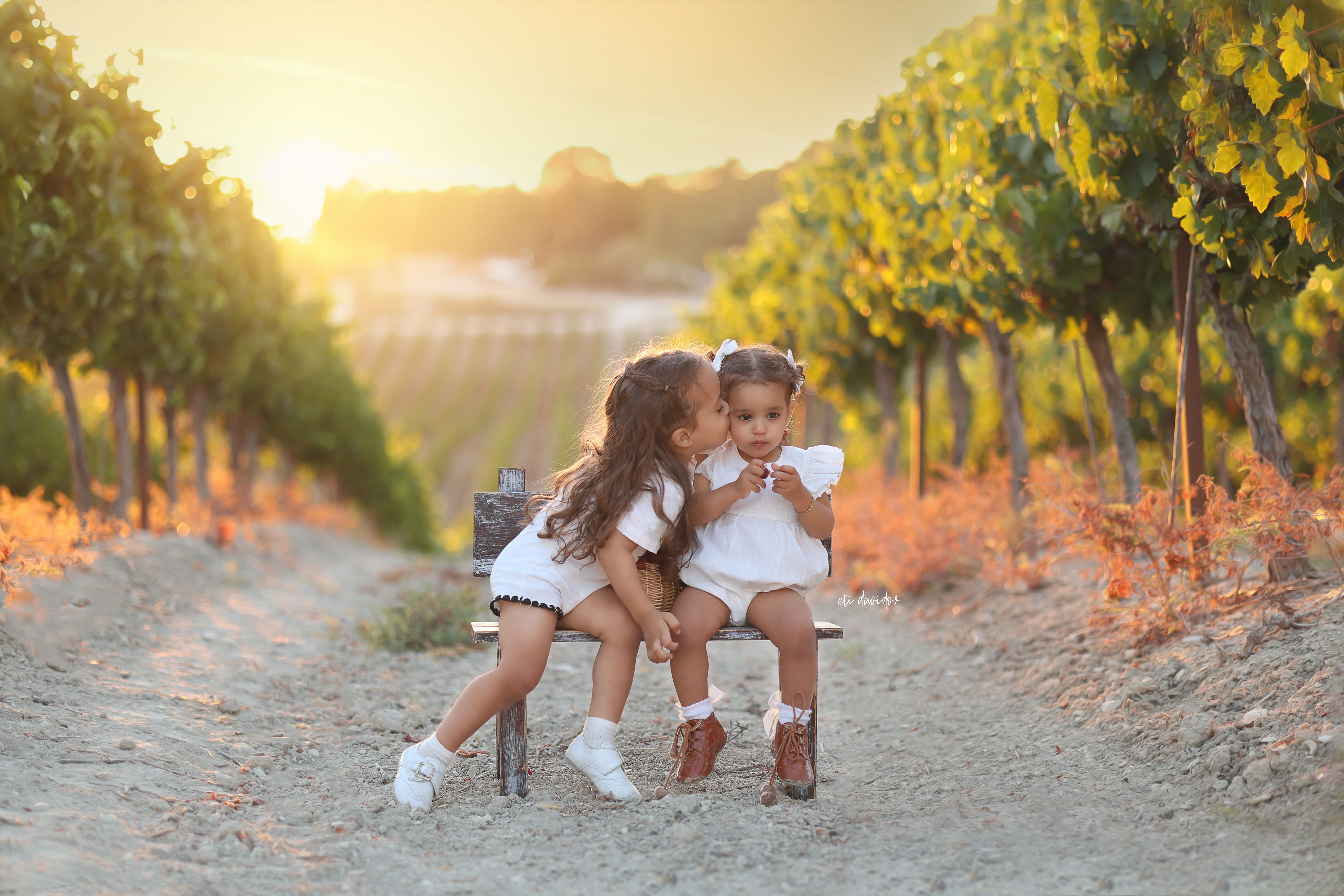 צילום אתי דוידוב 0533188737 (13).jpg