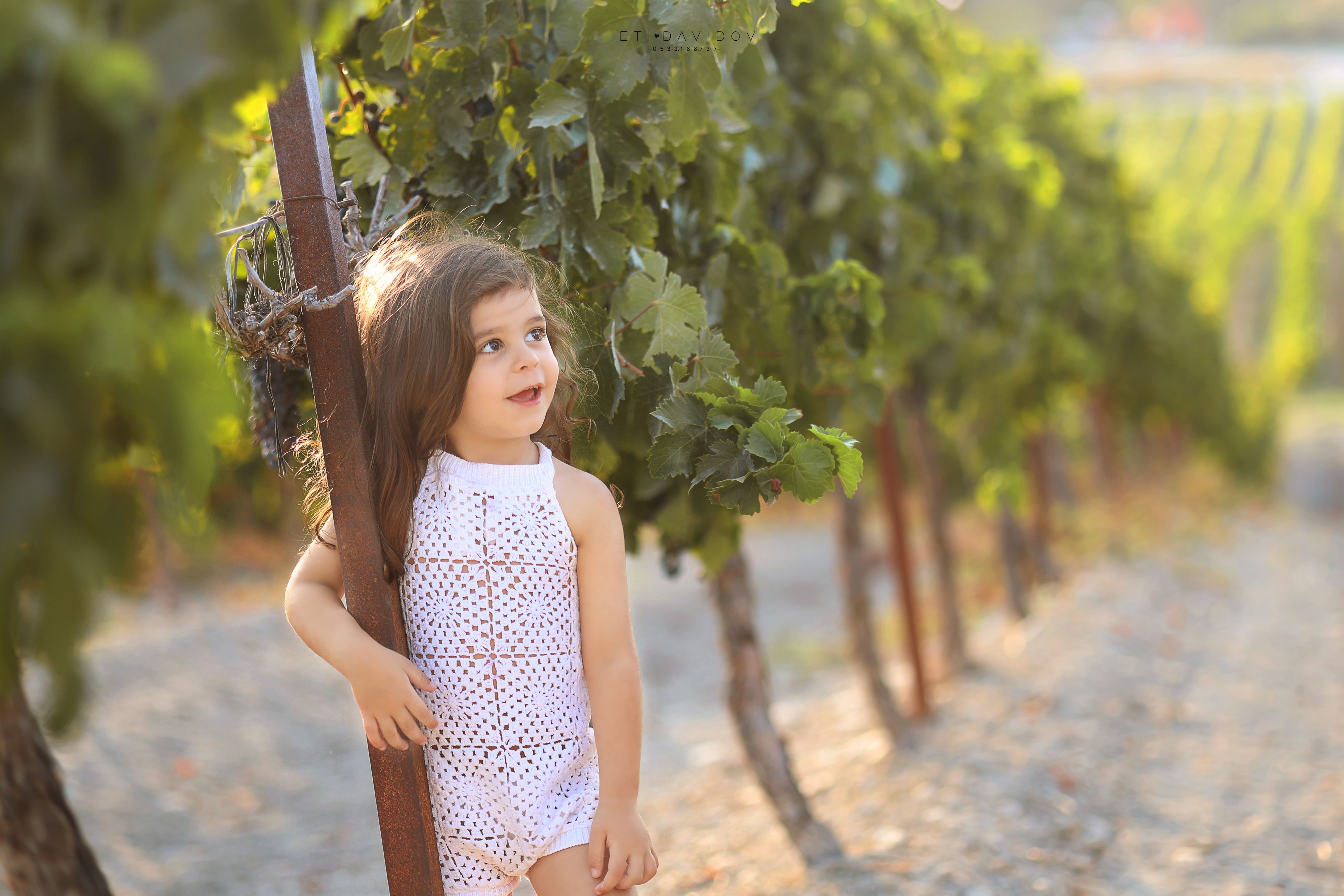 צילום אתי 0533188737 (13).jpg