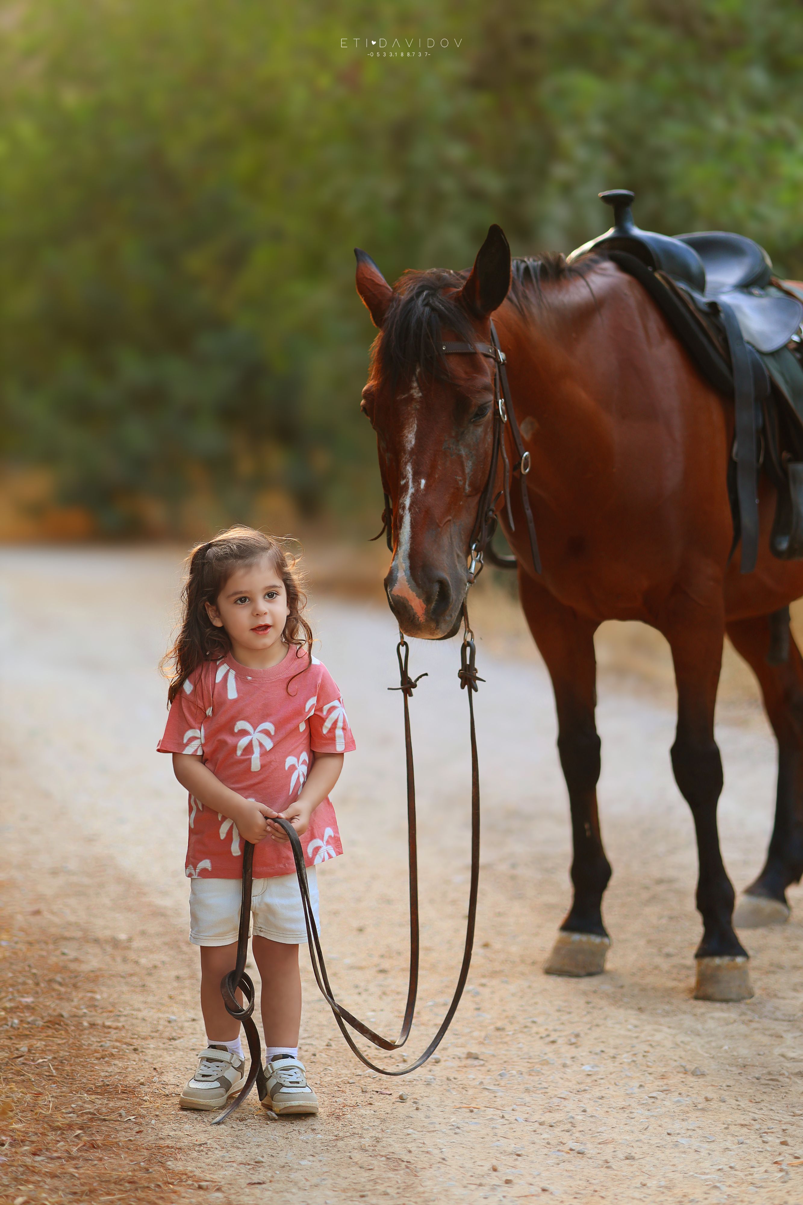 צילום אתי 0533188737 (7).JPG