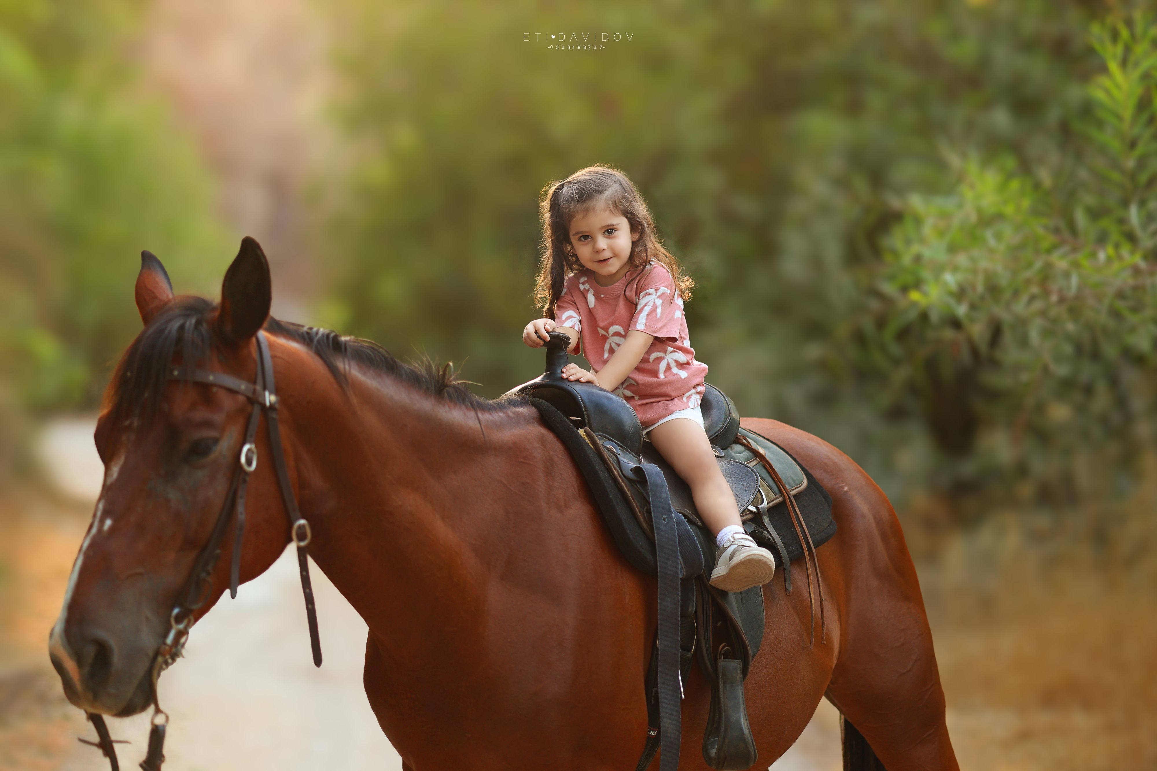 צילום אתי 0533188737 (8).JPG