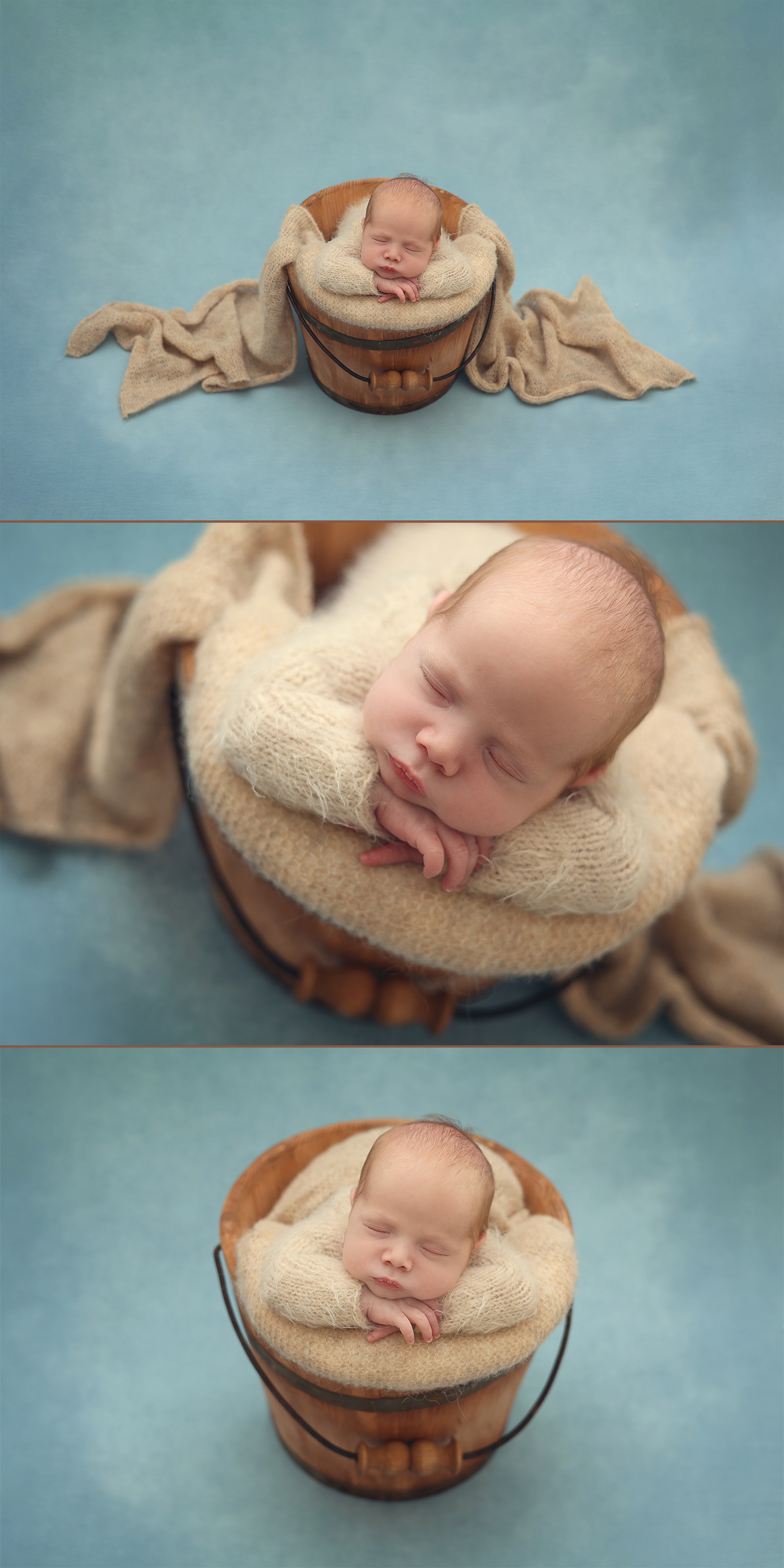 צילום דסי לוי 0556750110.jpg