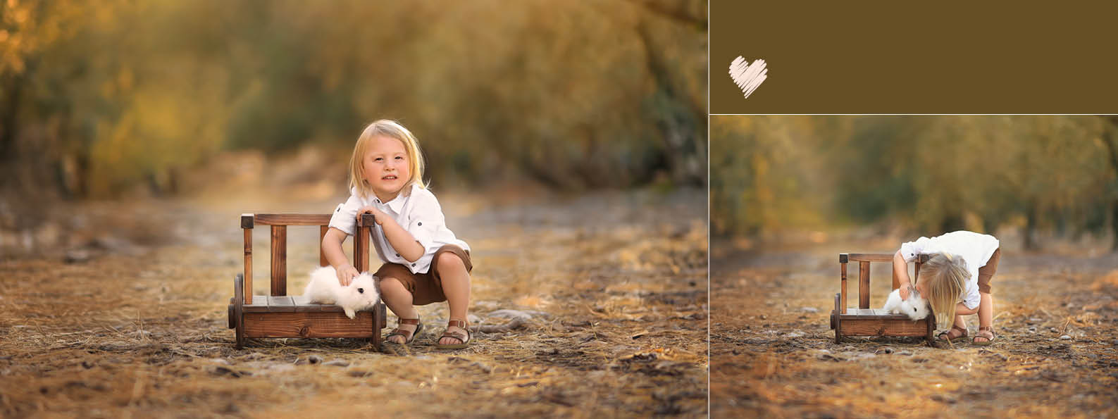 צילום ועיצוב אתי פרידמן7.jpg