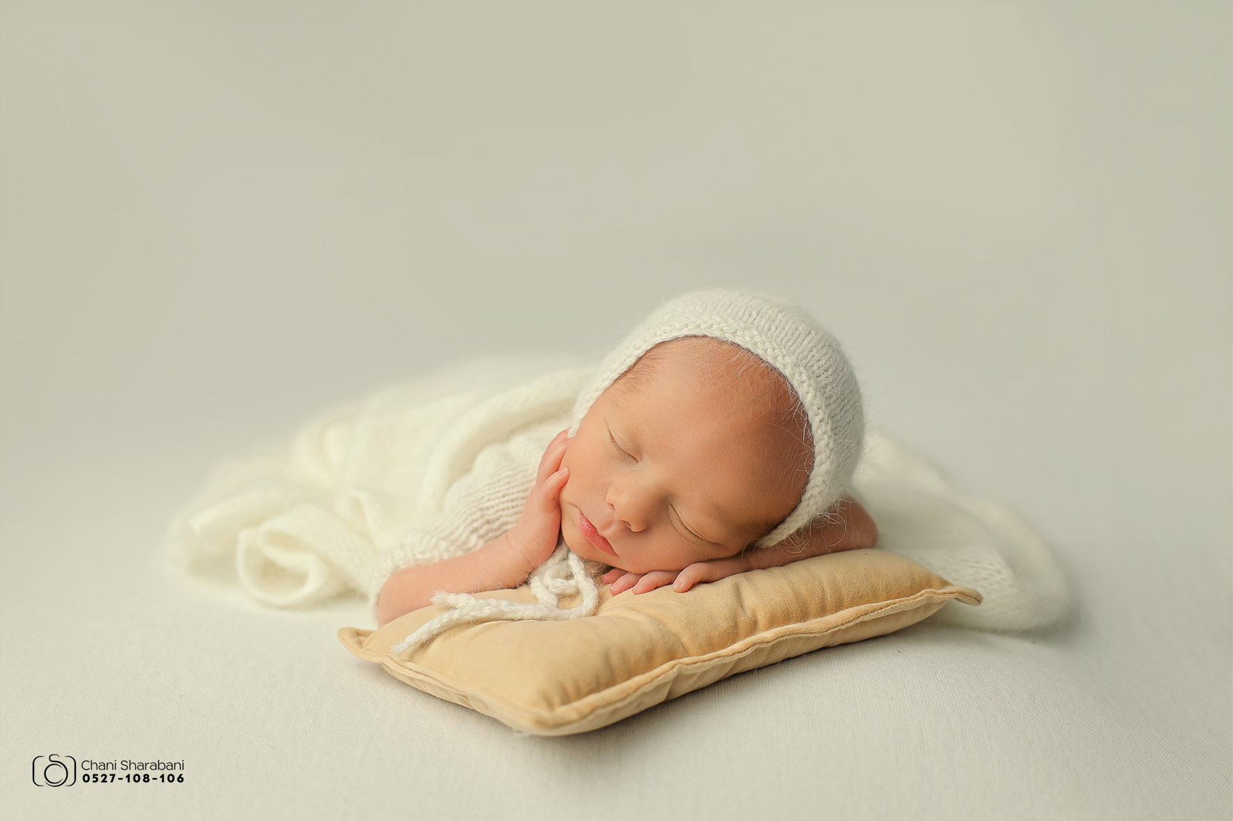 צילום חני שרבאני תמונה 03.jpg