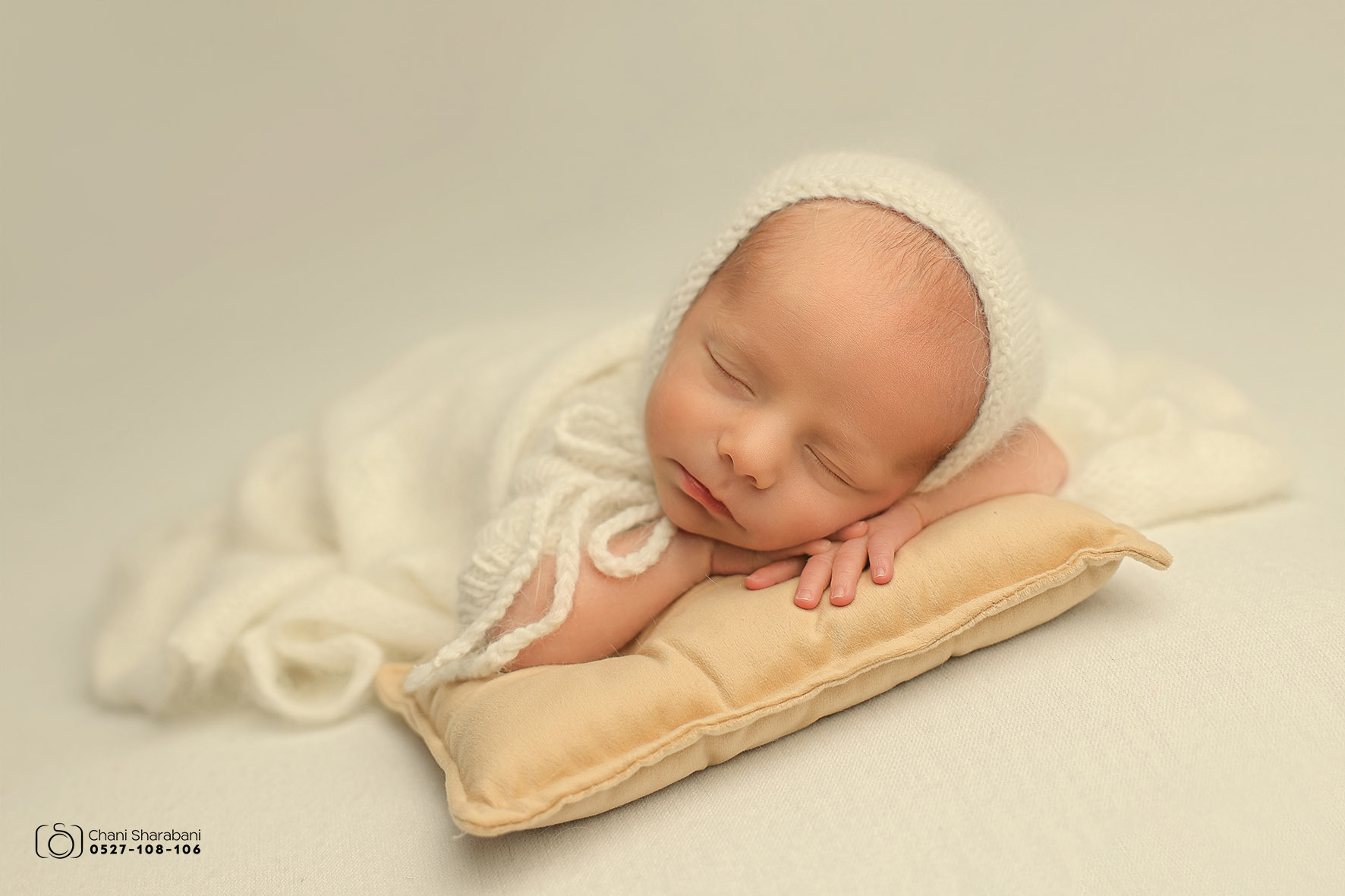 צילום חני שרבאני תמונה 04.jpg