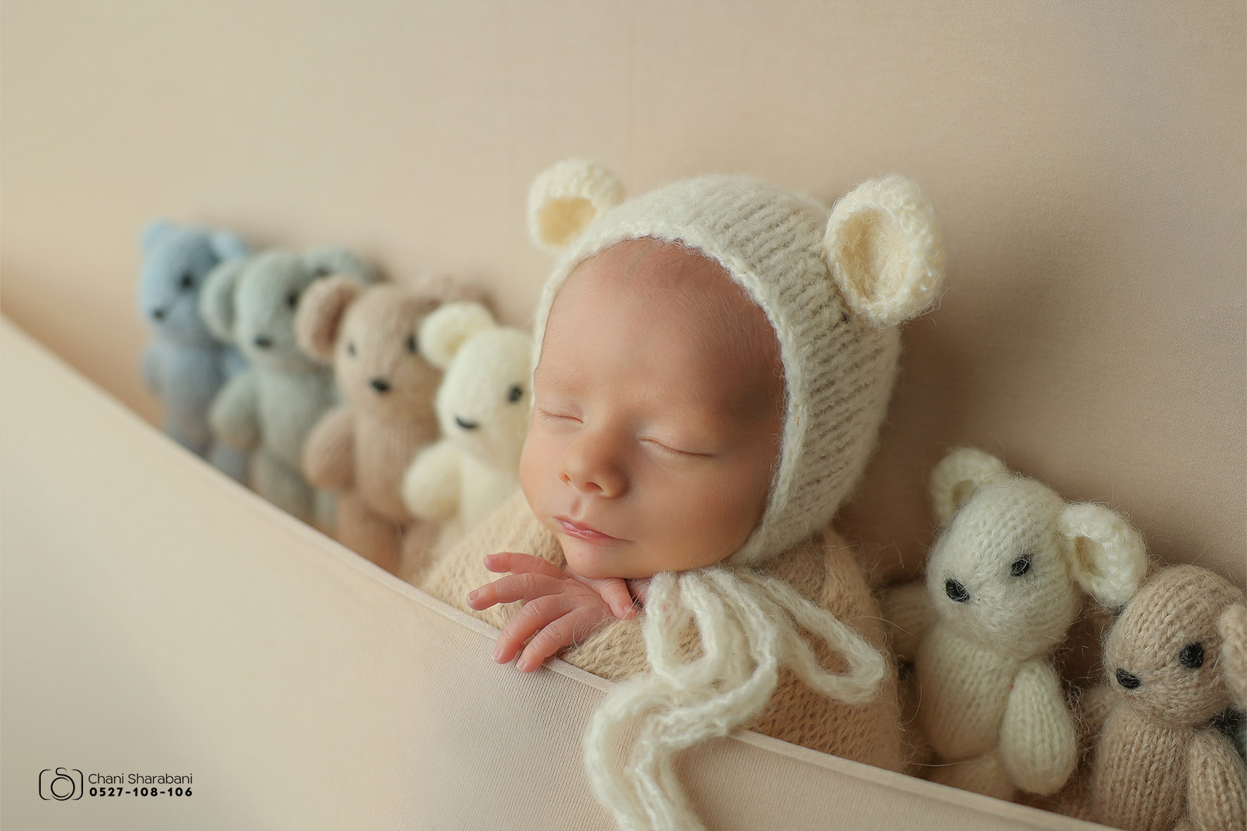 צילום חני שרבאני תמונה 08.jpg