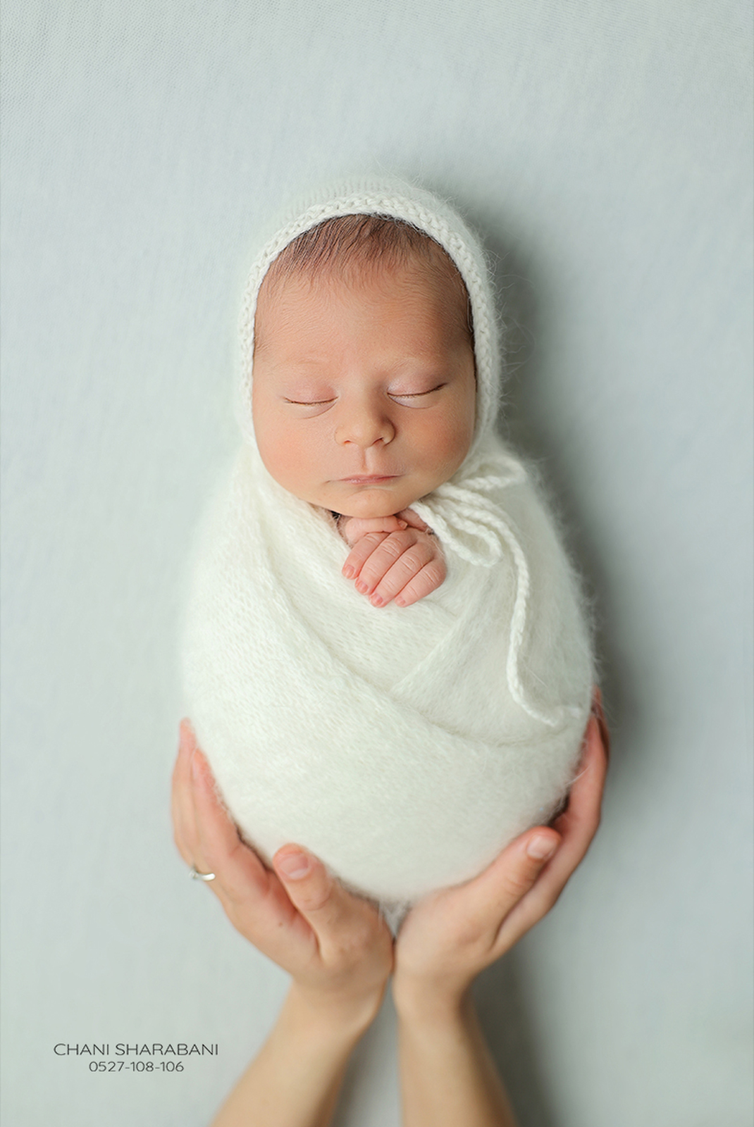 צילום חני שרבאני 011_1070x1600.jpg