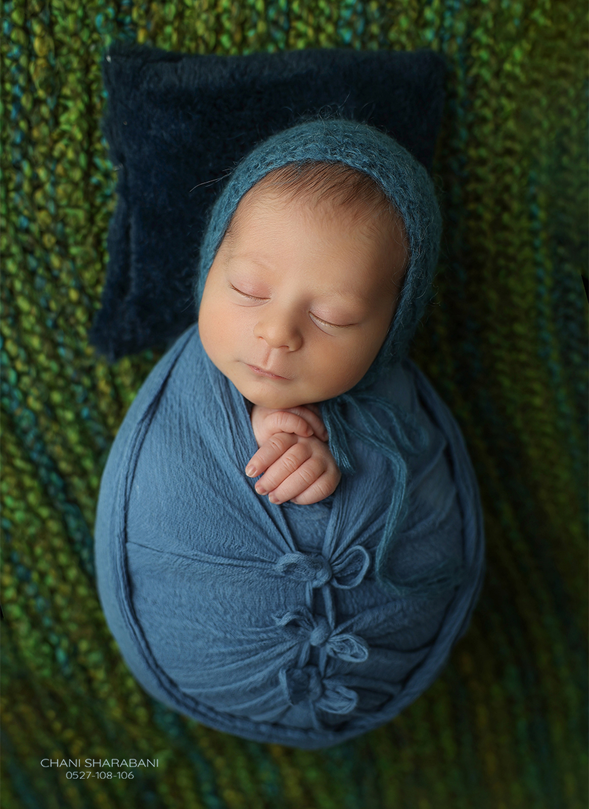 צילום חני שרבאני 012_1165x1600.jpg