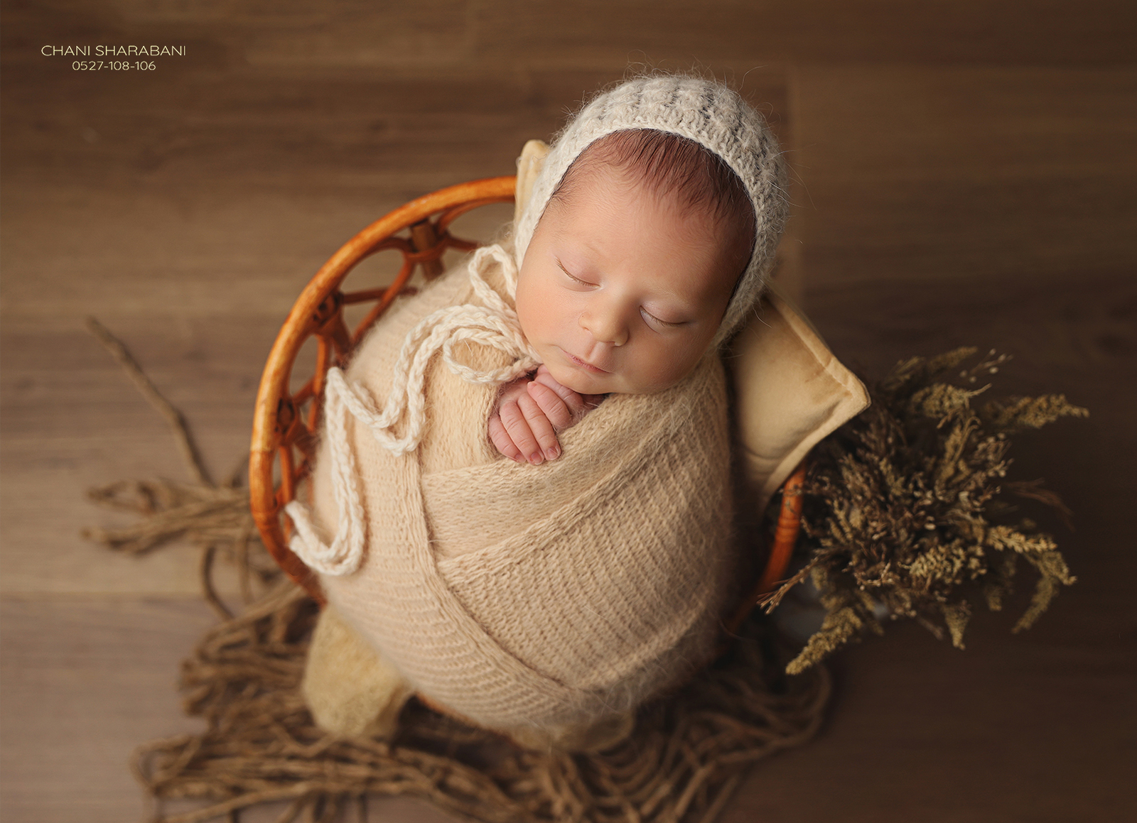 צילום חני שרבאני 01_1600x1159.jpg