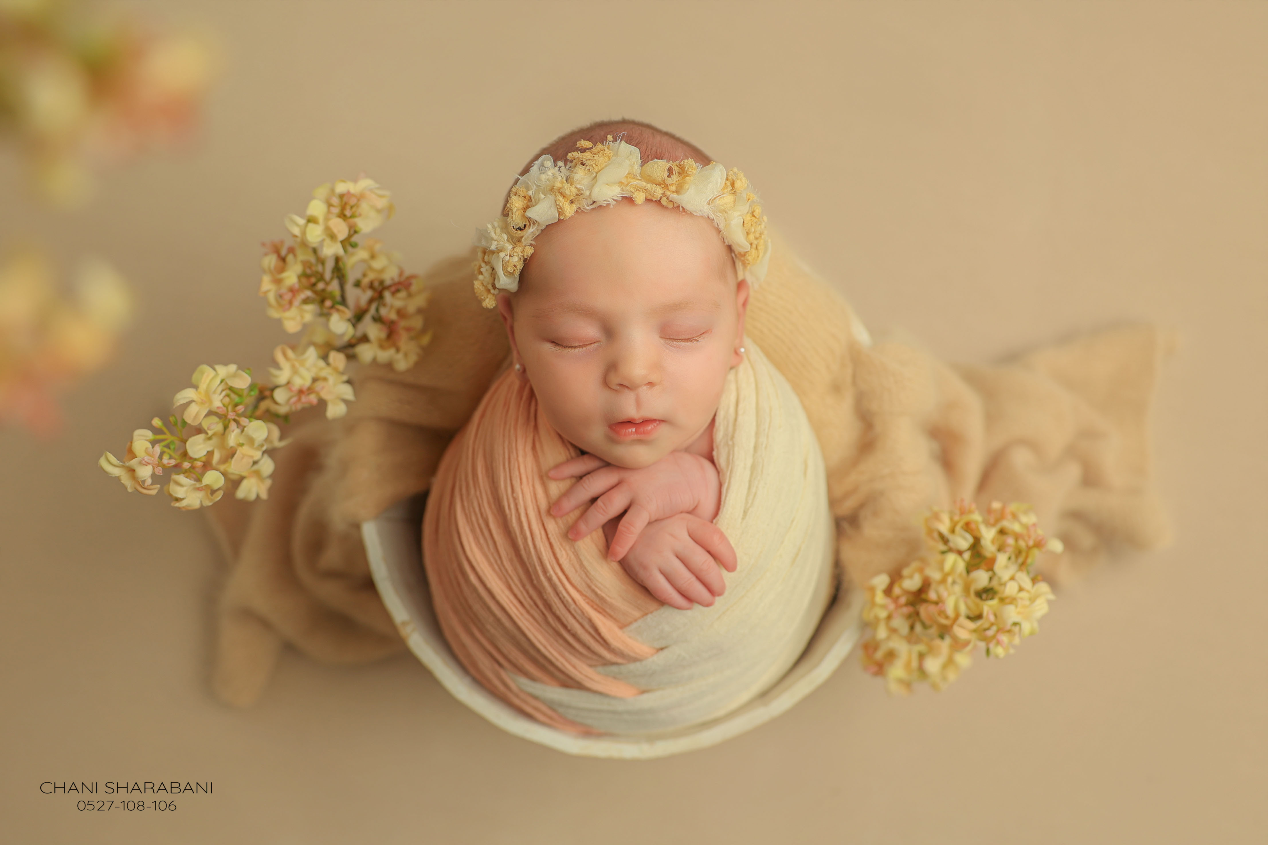 צילום חני שרבאני 0527108106 תמונה 01.jpg