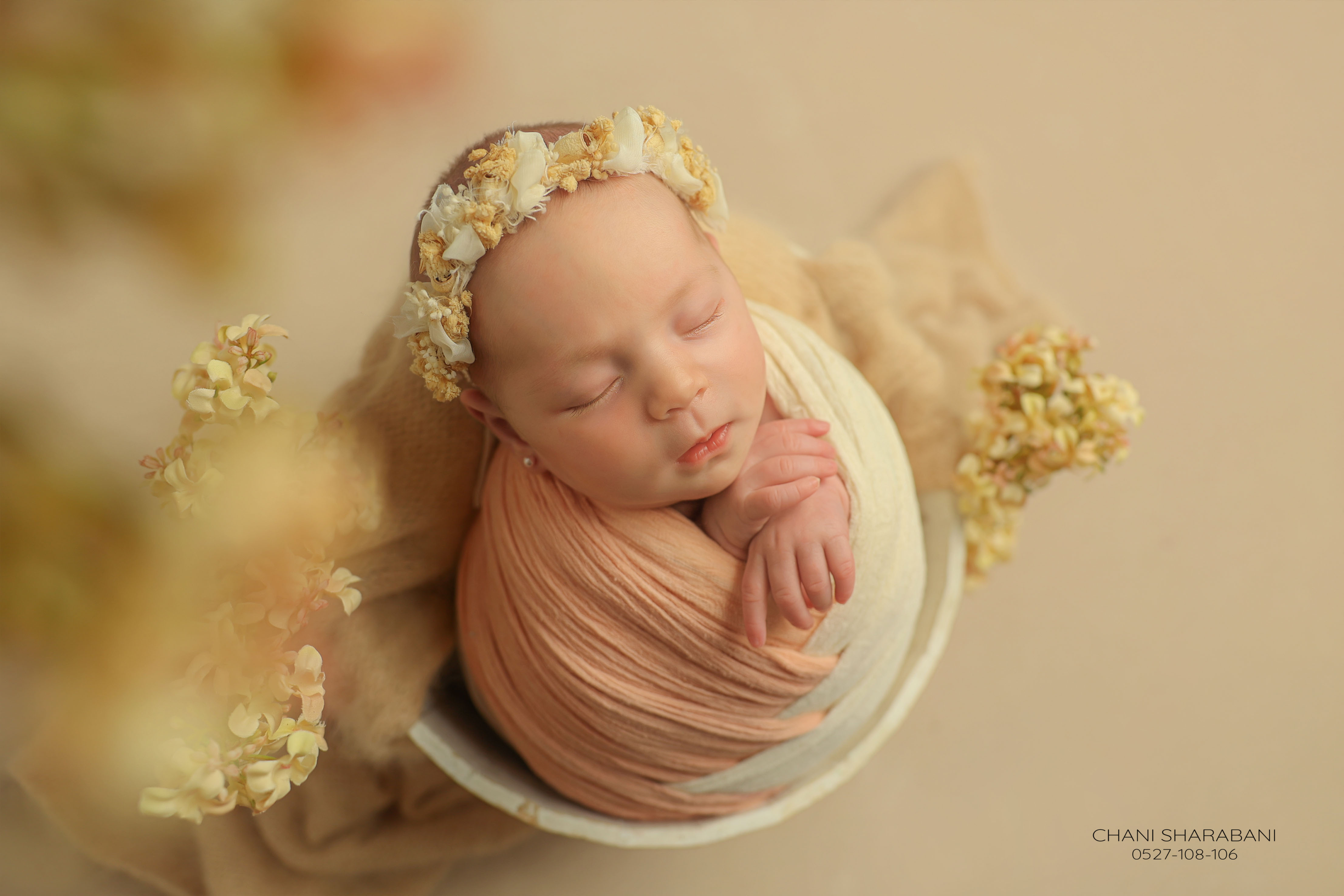 צילום חני שרבאני 0527108106 תמונה 02.jpg