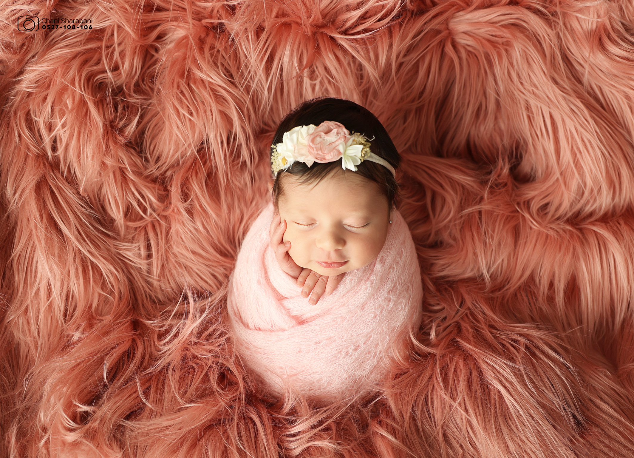 צילום חני שרבאני 0527108106 תמונה 07.jpg