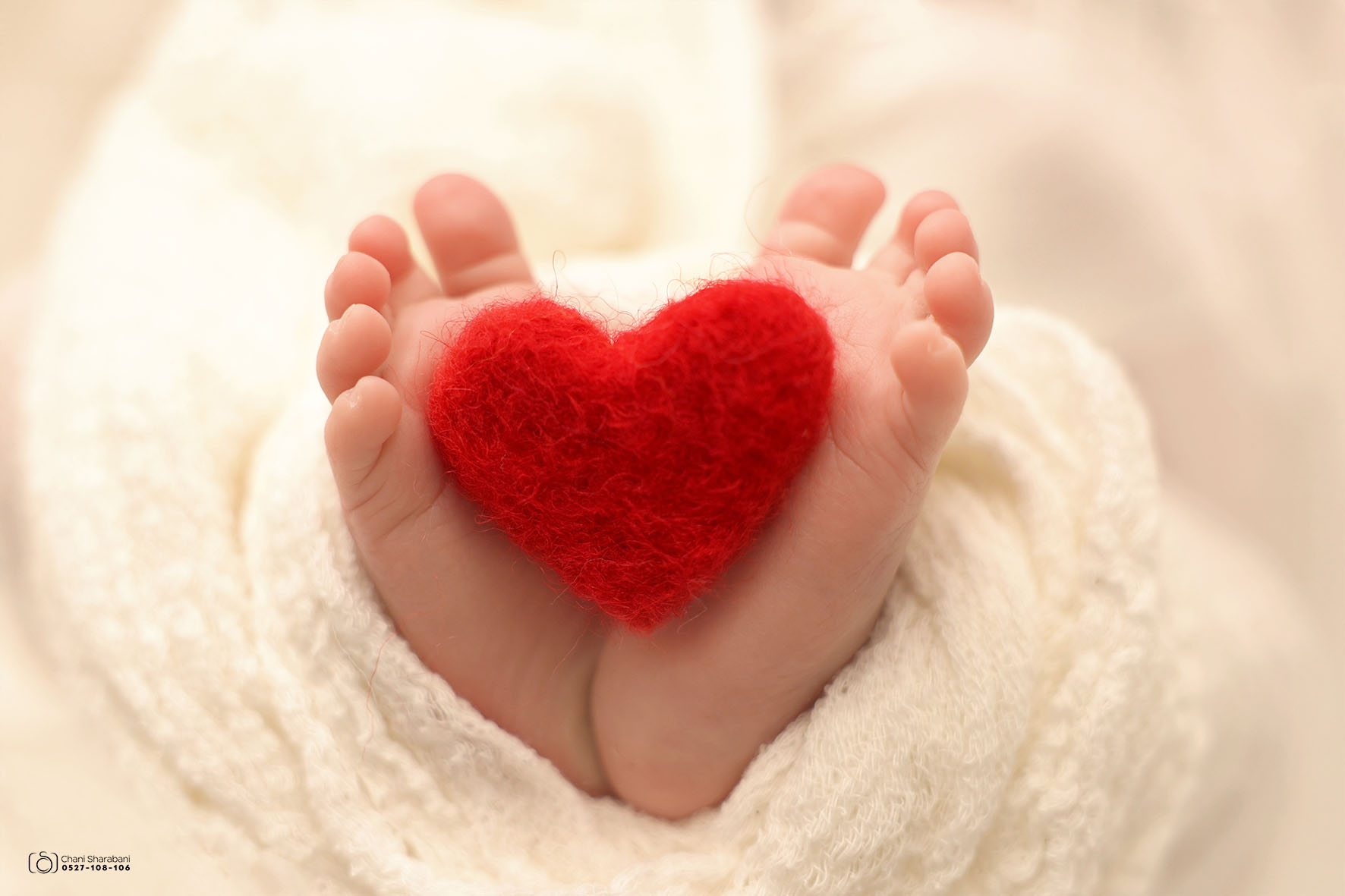 צילום חני שרבאני 0527108106 010.jpg