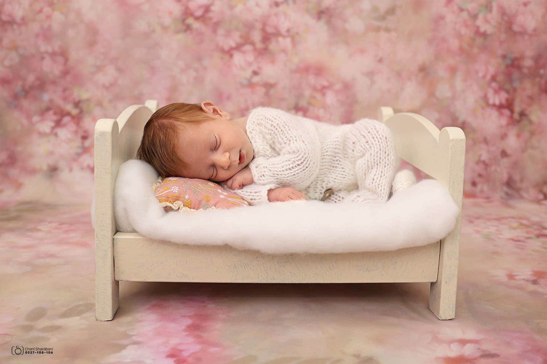 צילום חני שרבאני 0527108106 02.jpg