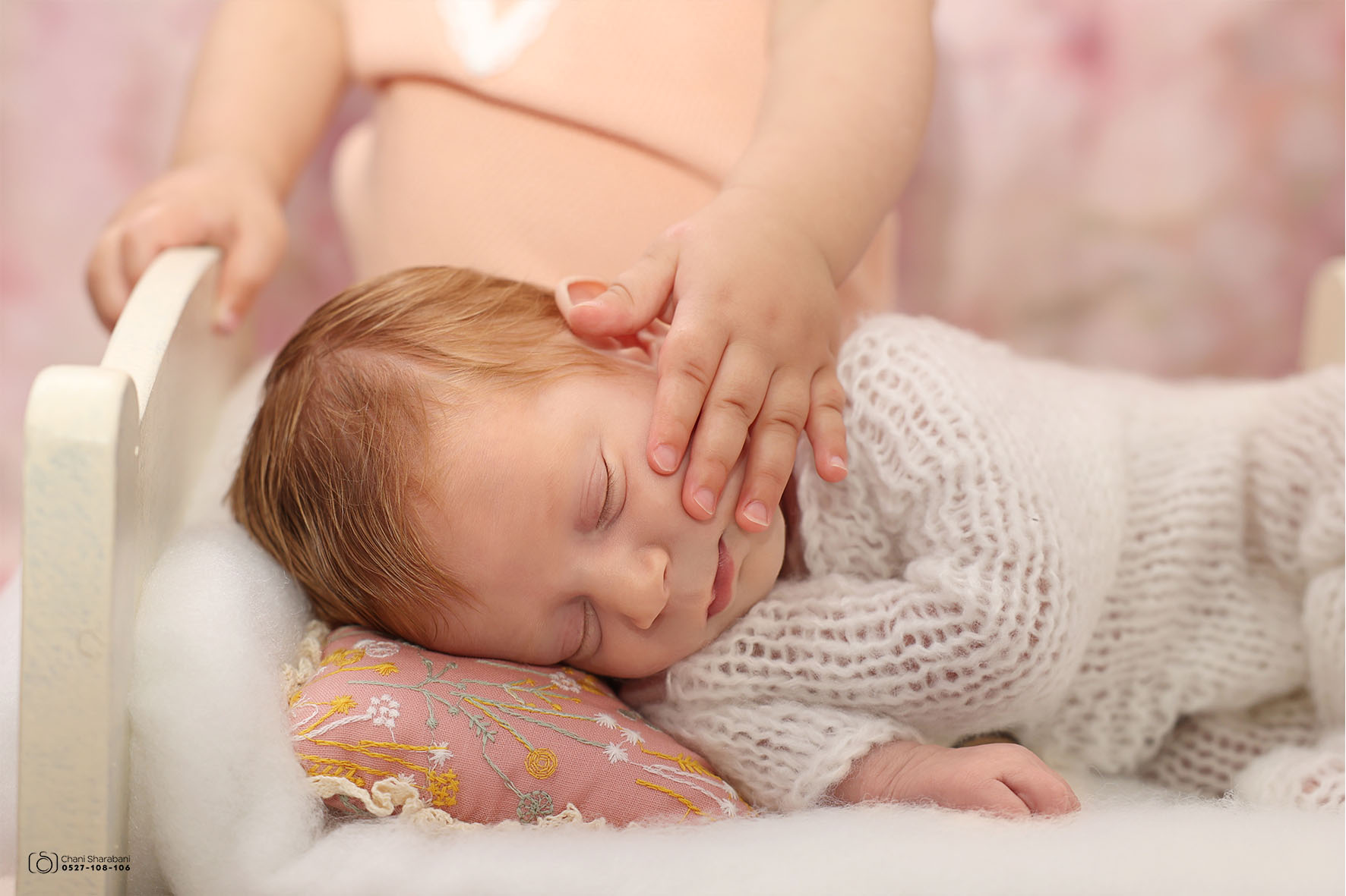 צילום חני שרבאני 0527108106 03.jpg