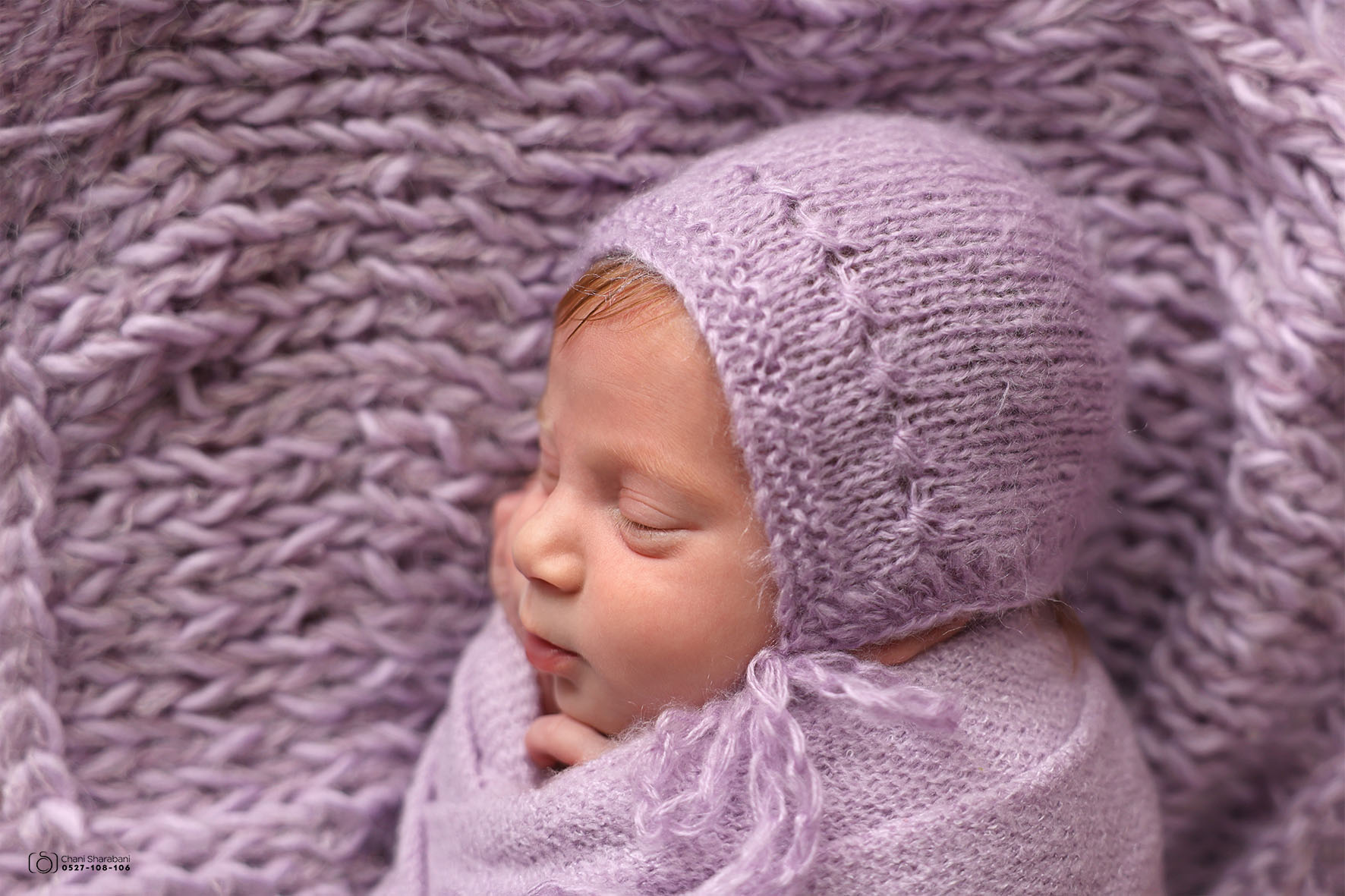 צילום חני שרבאני 0527108106  05.jpg