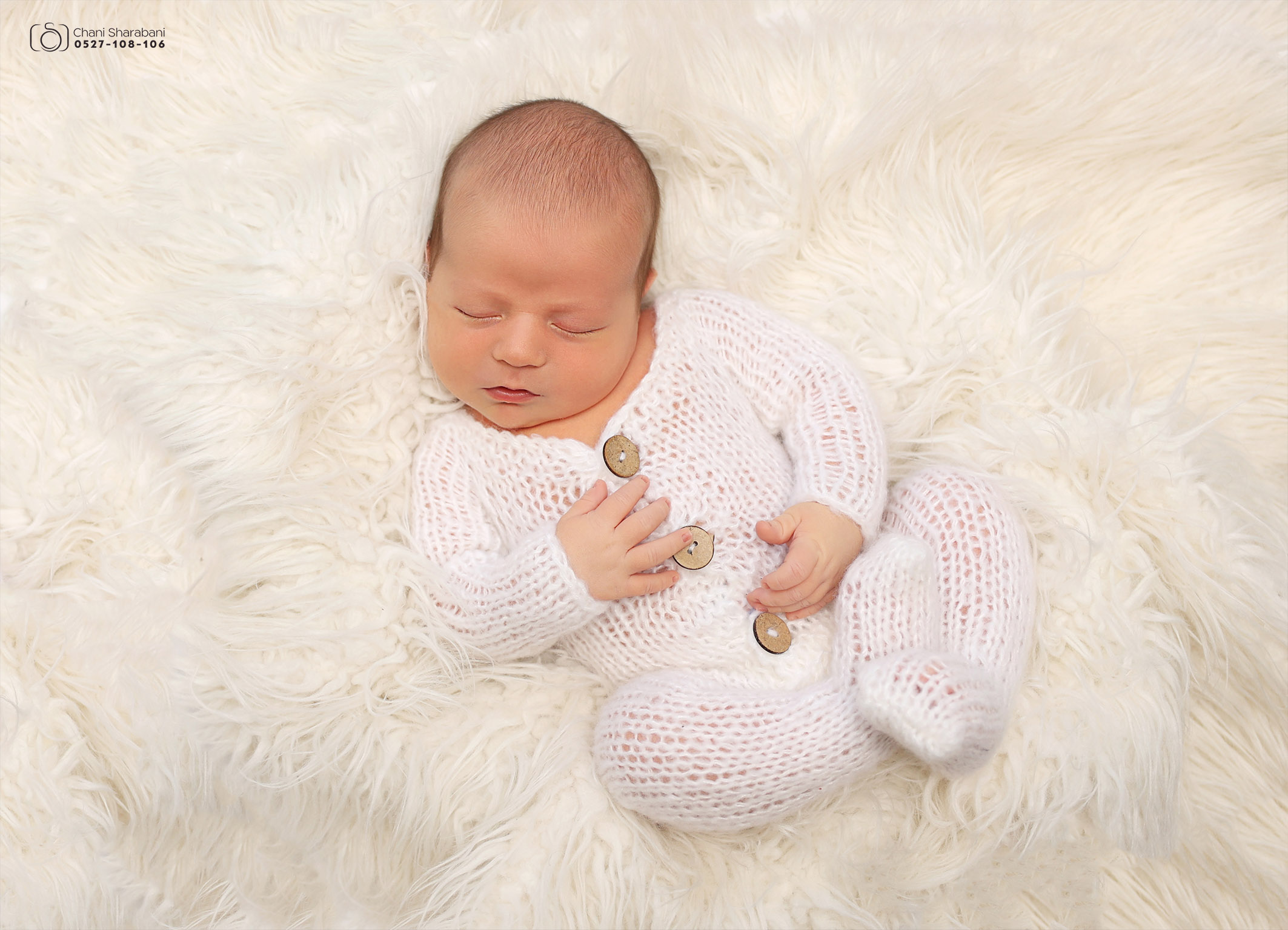 צילום חני שרבאני 0527108106 06.jpg