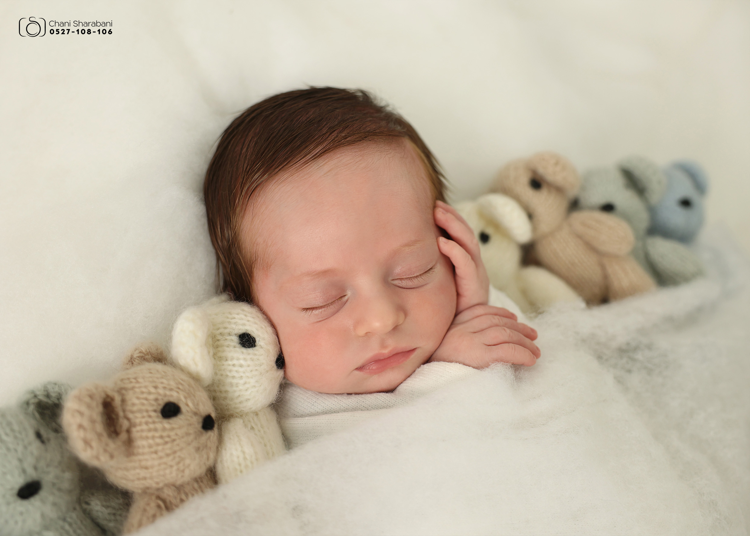 צילום חני שרבאני 0527108106 07.jpg