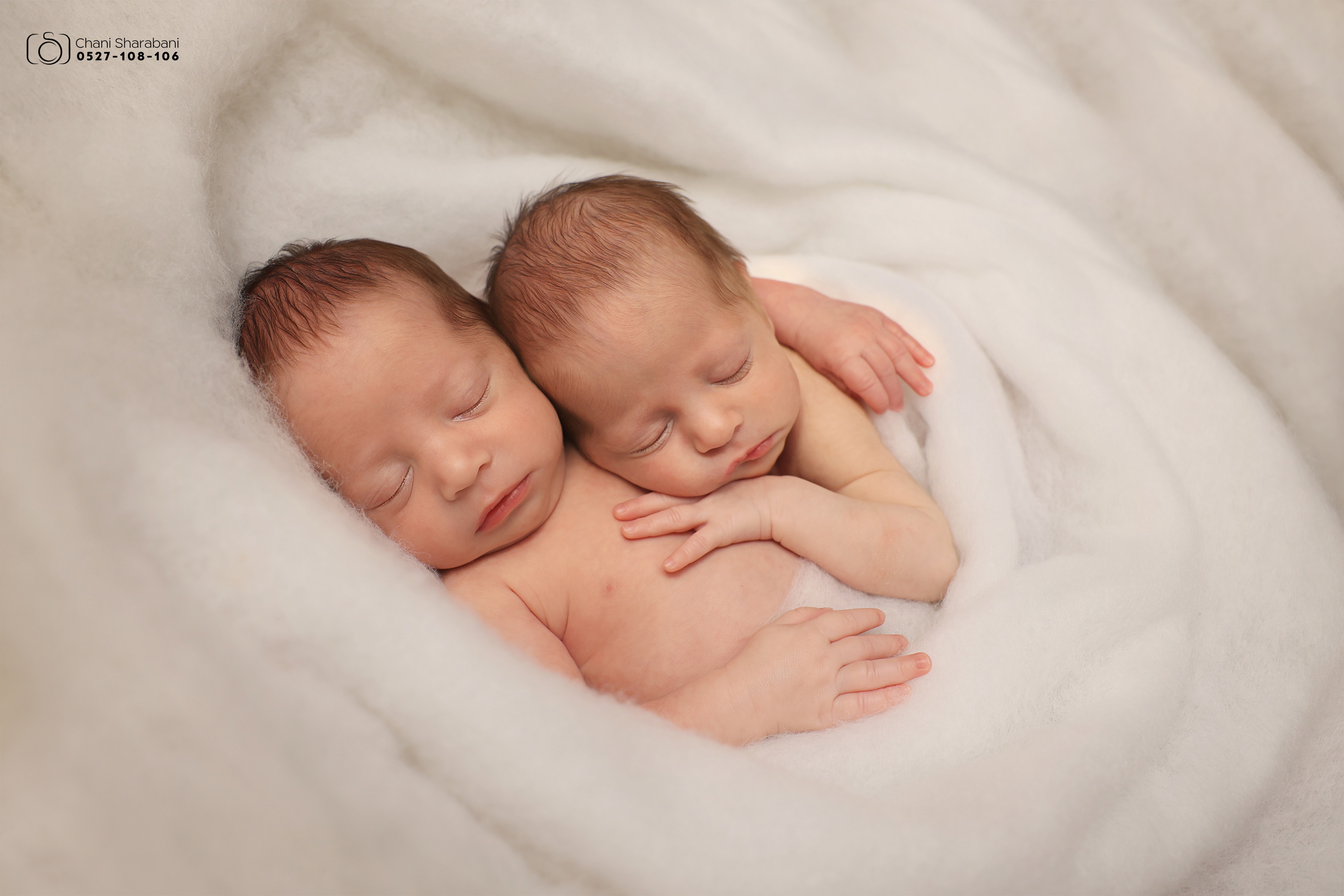 צילום חני שרבאני 0527108106 -1.jpg