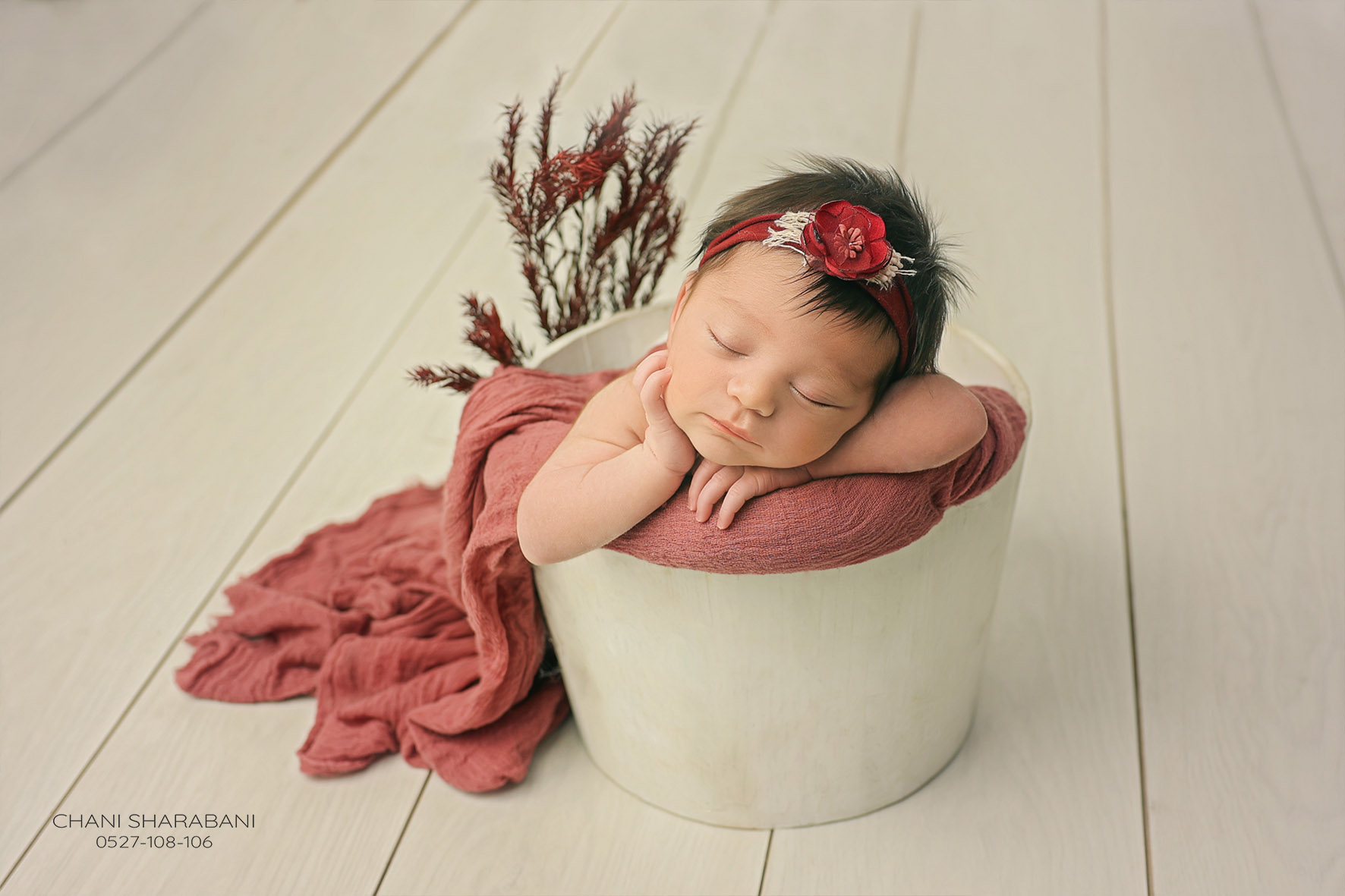 צילום חני שרבאני 0527108106 -1.jpg