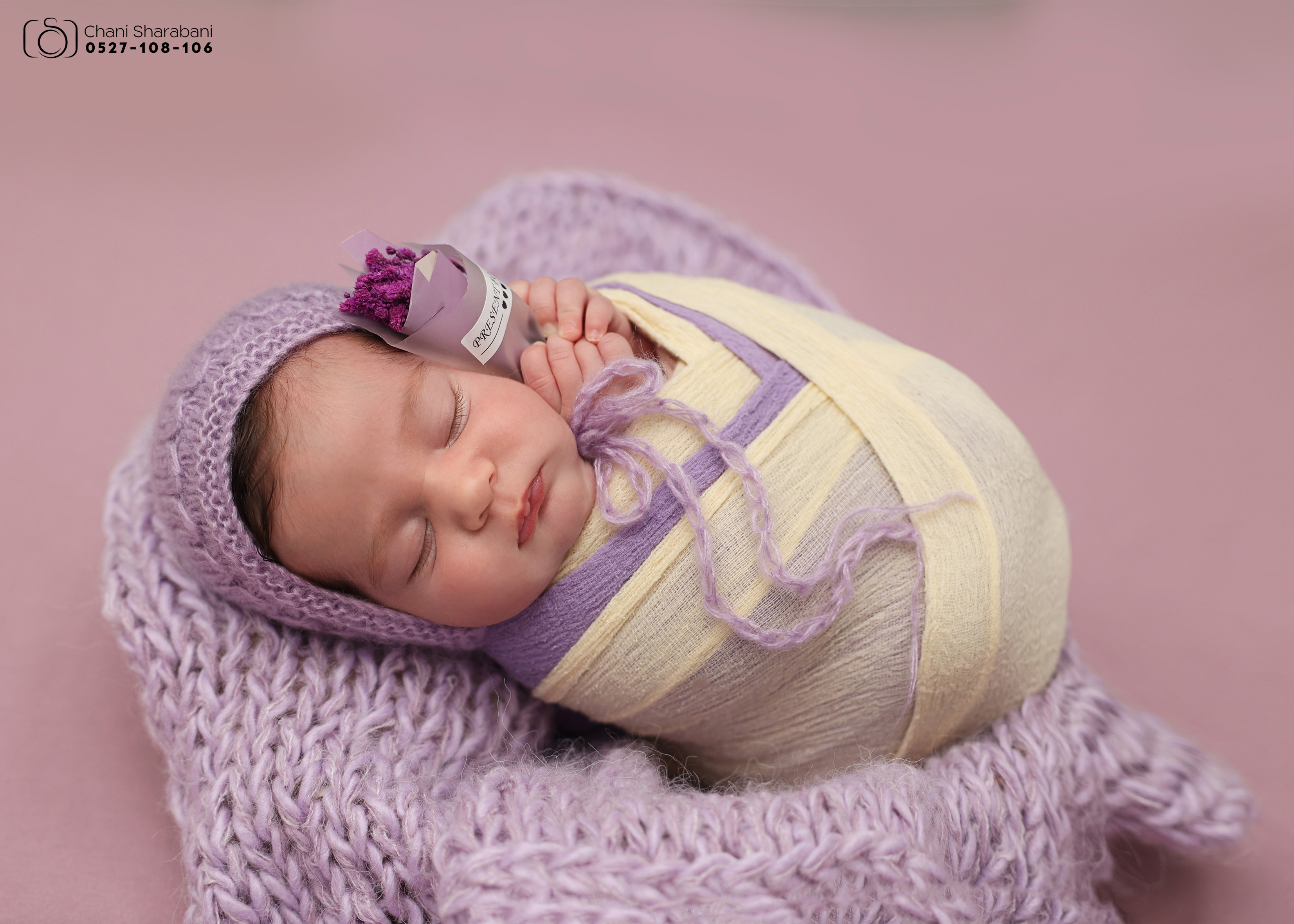 צילום חני שרבאני 0527108106 -10.jpg