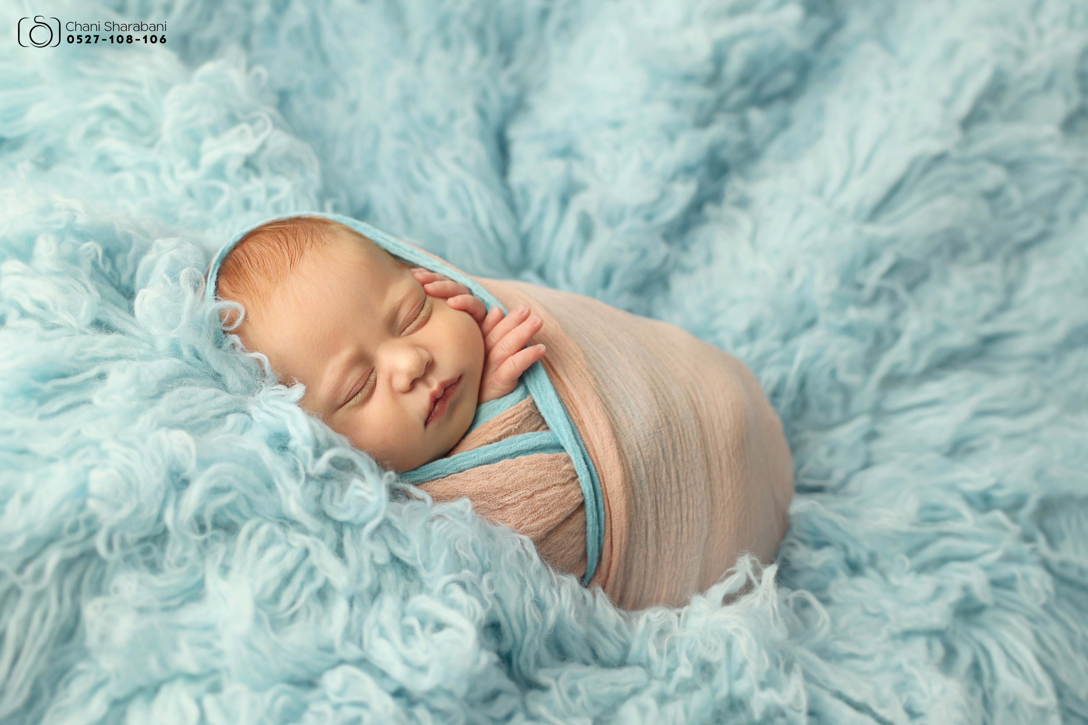 צילום חני שרבאני 0527108106 -10.jpg