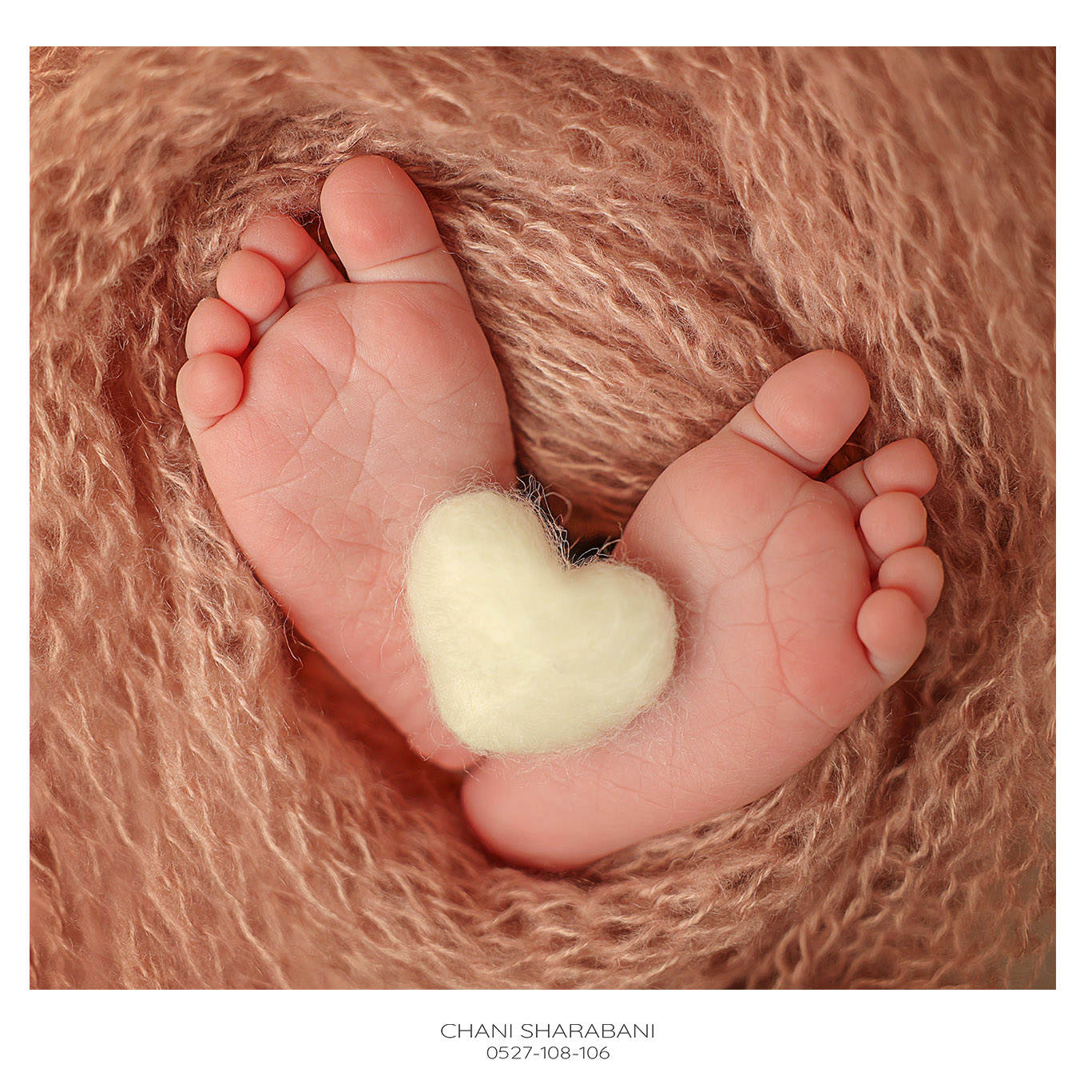 צילום חני שרבאני 0527108106 -10.jpg