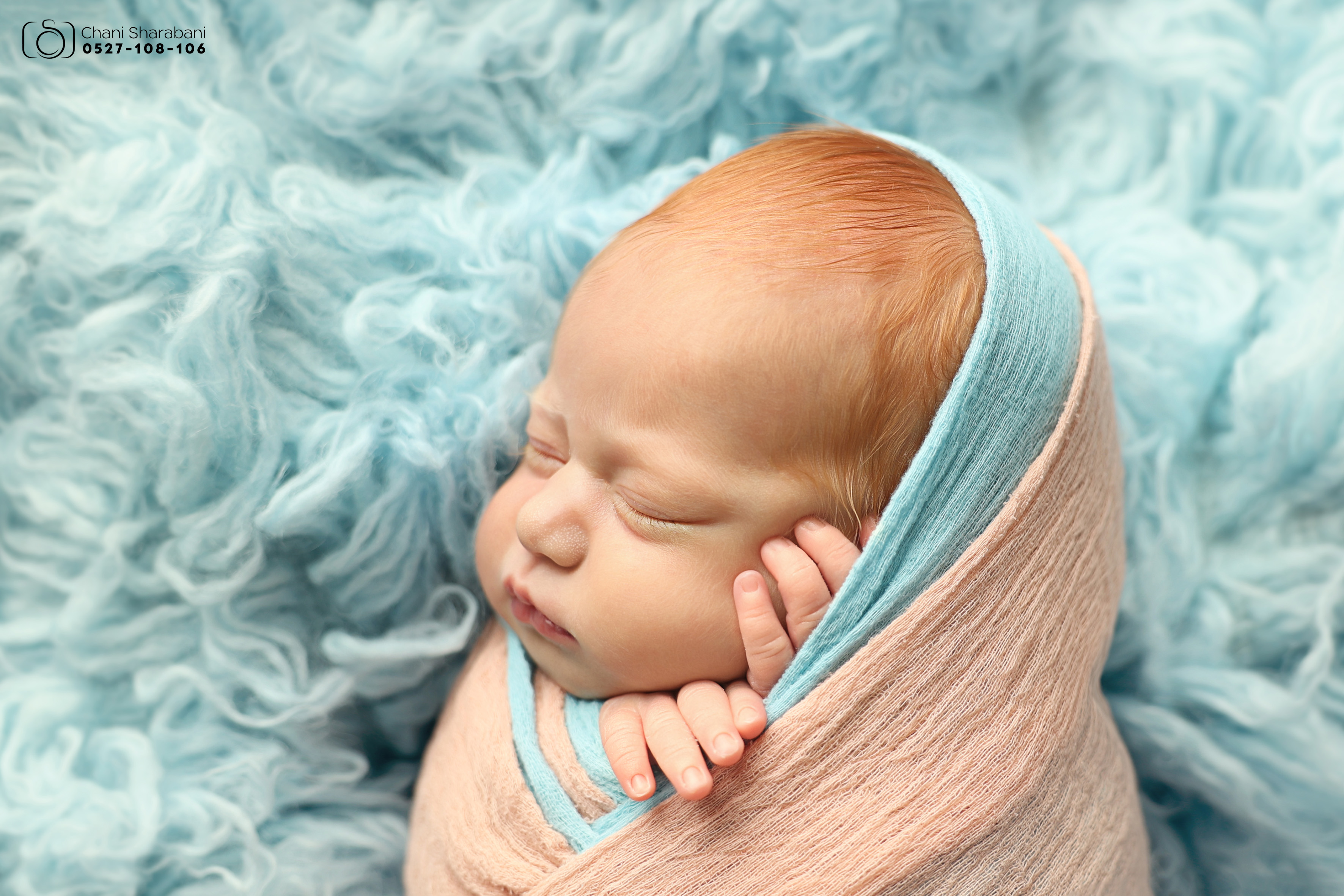 צילום חני שרבאני 0527108106 -11.jpg