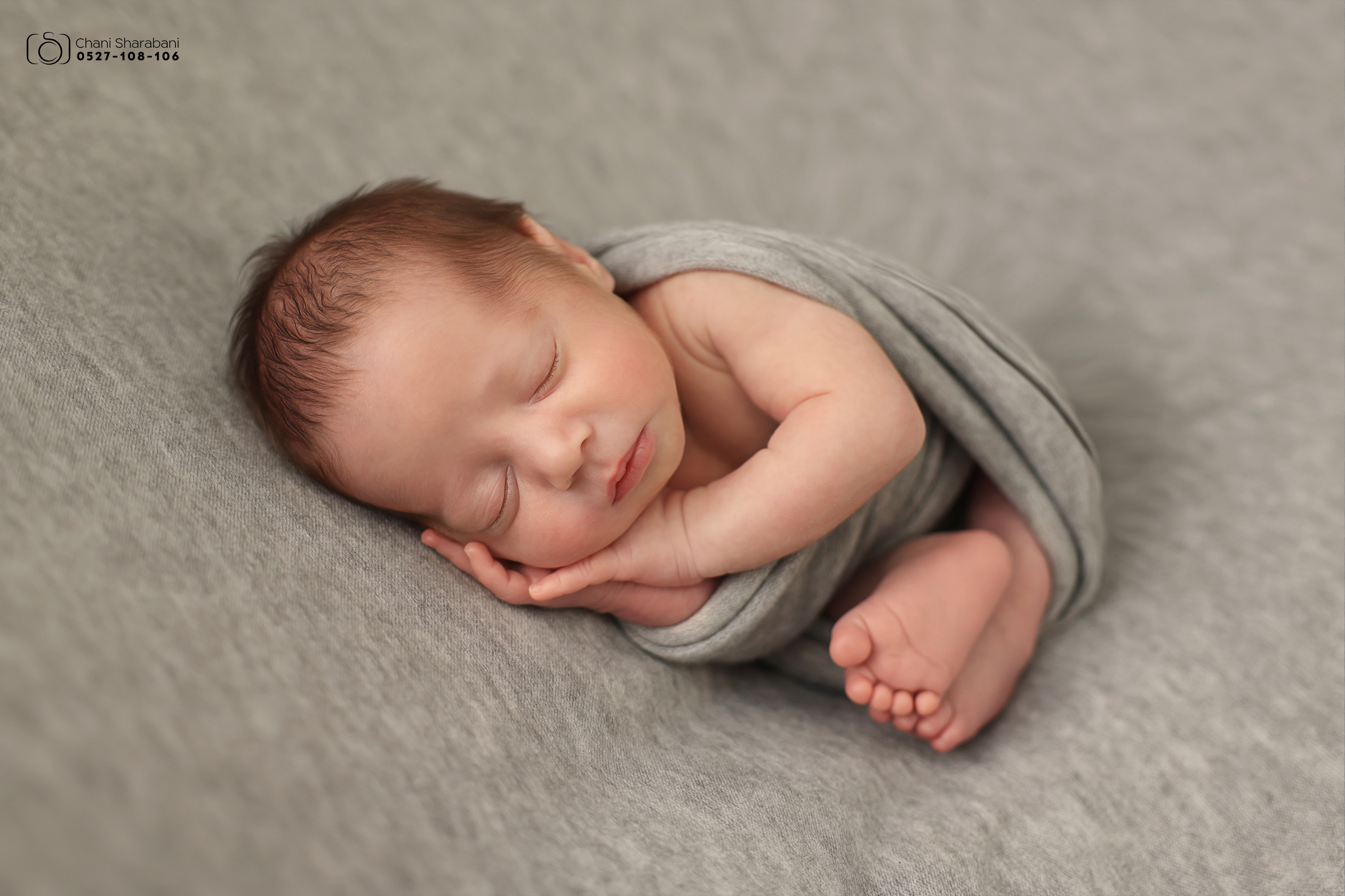 צילום חני שרבאני 0527108106 -11.jpg