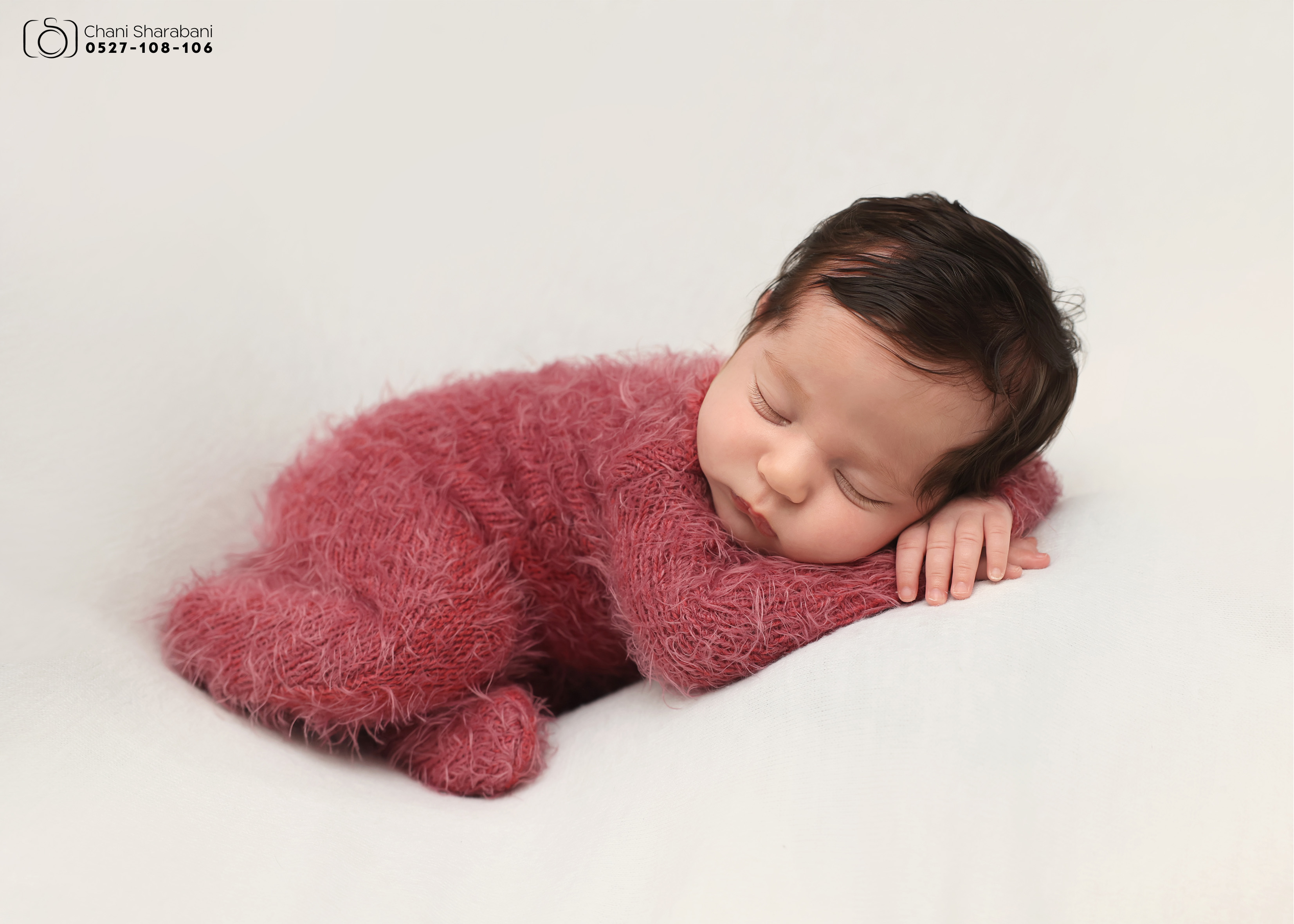 צילום חני שרבאני 0527108106 -2.jpg