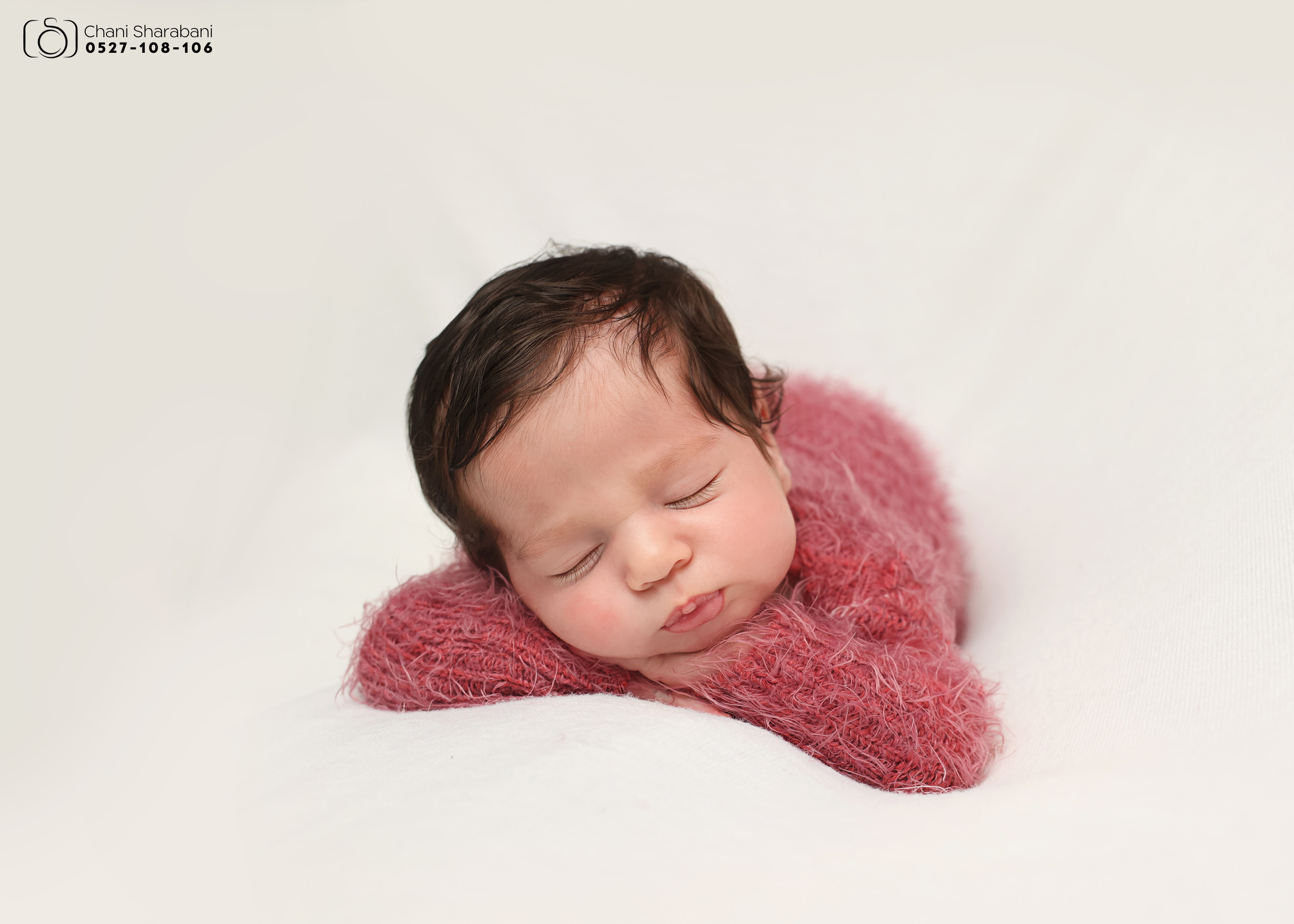 צילום חני שרבאני 0527108106 -3.jpg