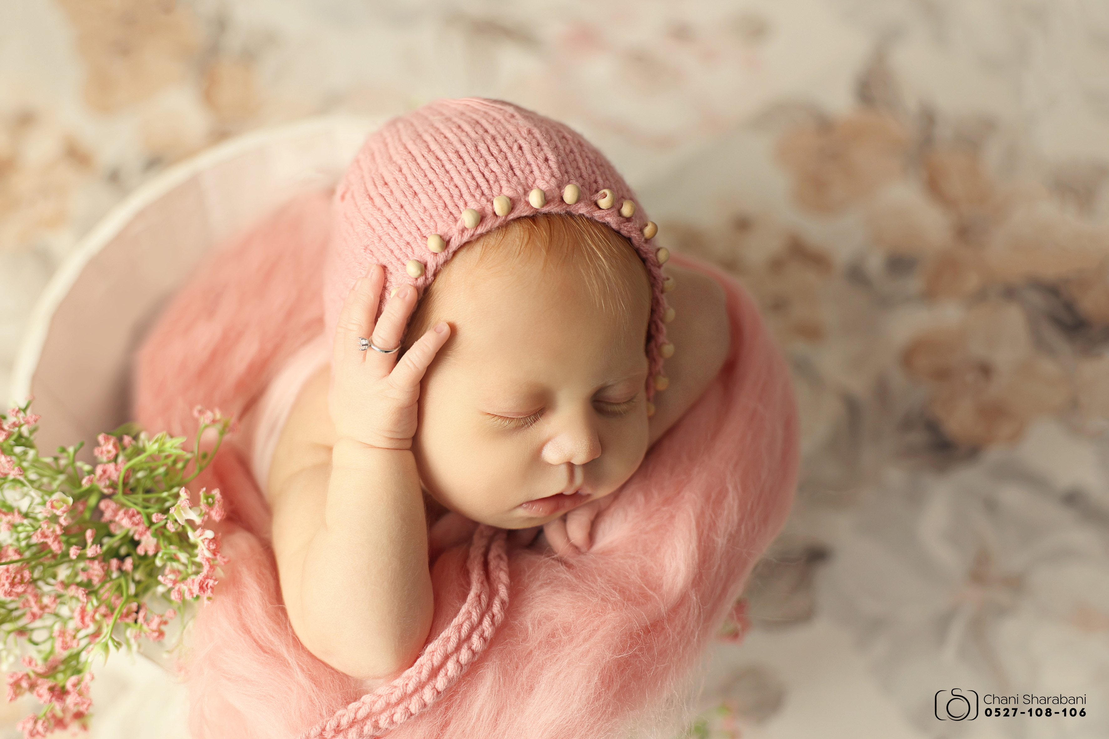 צילום חני שרבאני 0527108106 -3.jpg