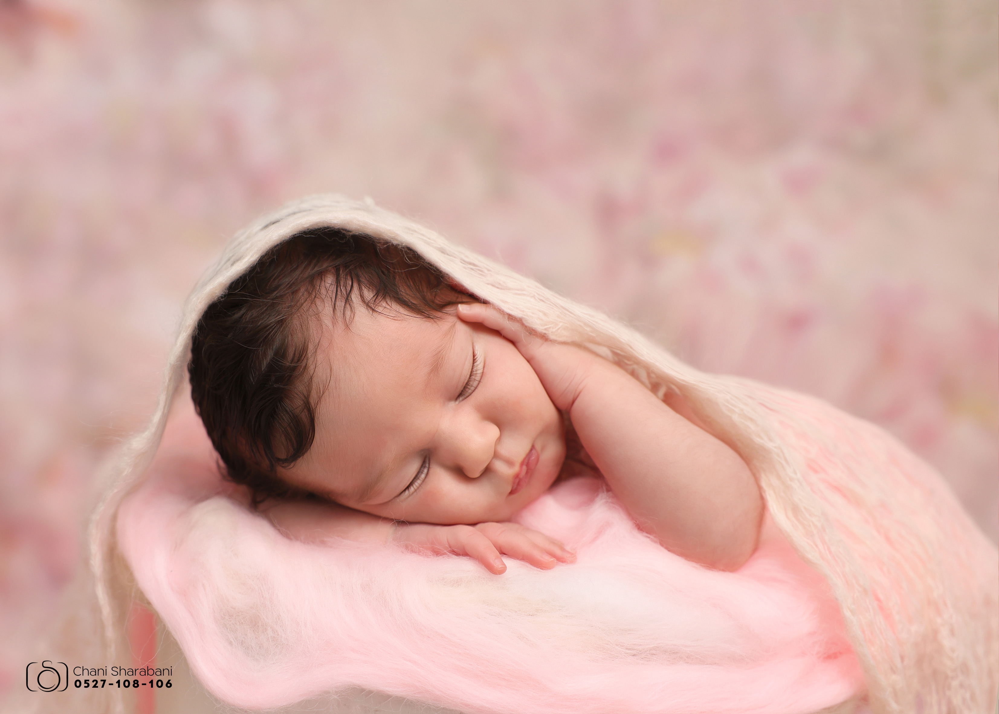 צילום חני שרבאני 0527108106 -4.jpg