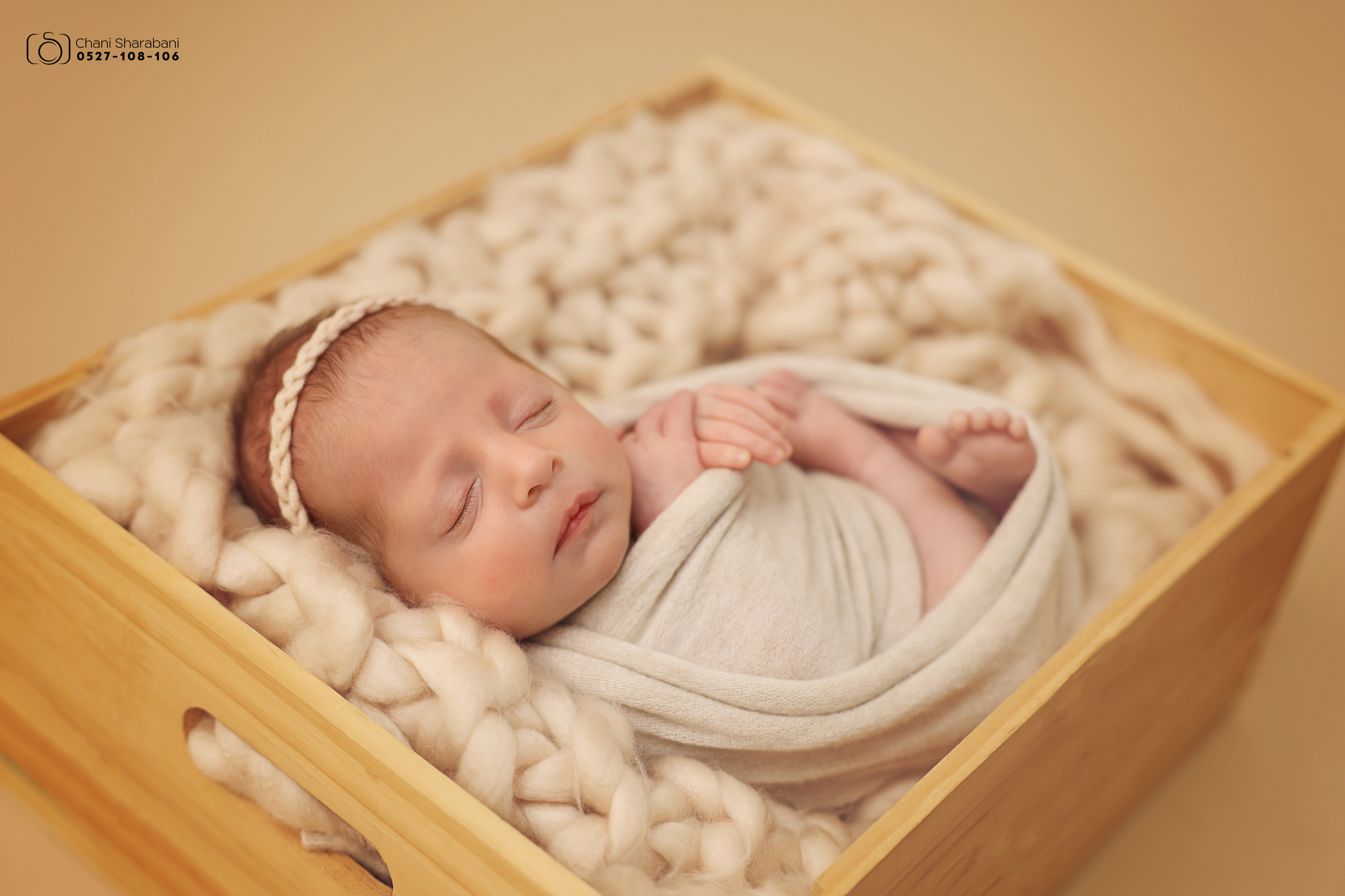 צילום חני שרבאני 0527108106 -4.jpg