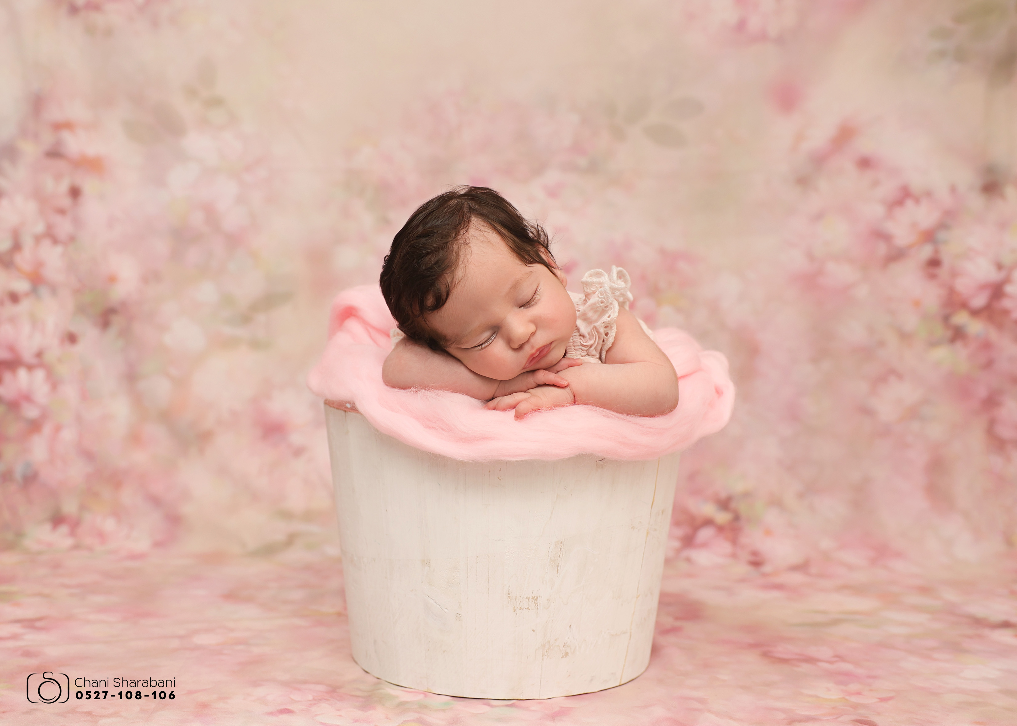 צילום חני שרבאני 0527108106 -5.jpg