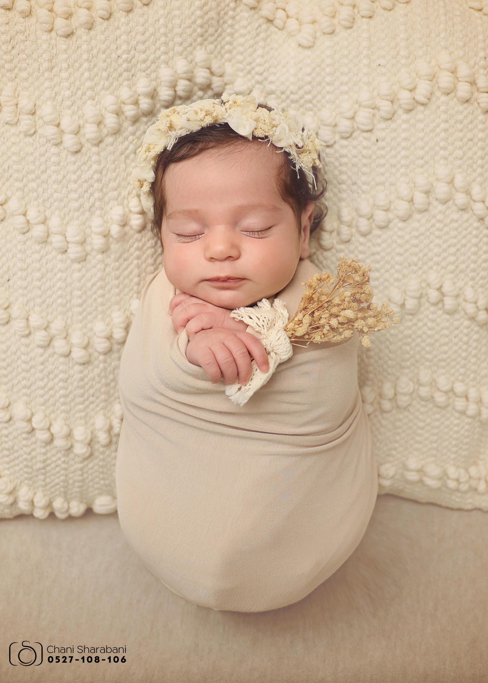 צילום חני שרבאני 0527108106 -7.jpg