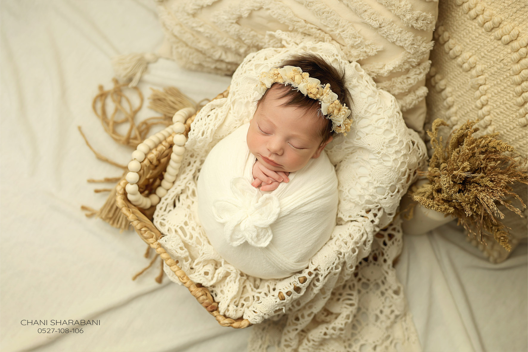 צילום חני שרבאני 0527108106 -7.jpg